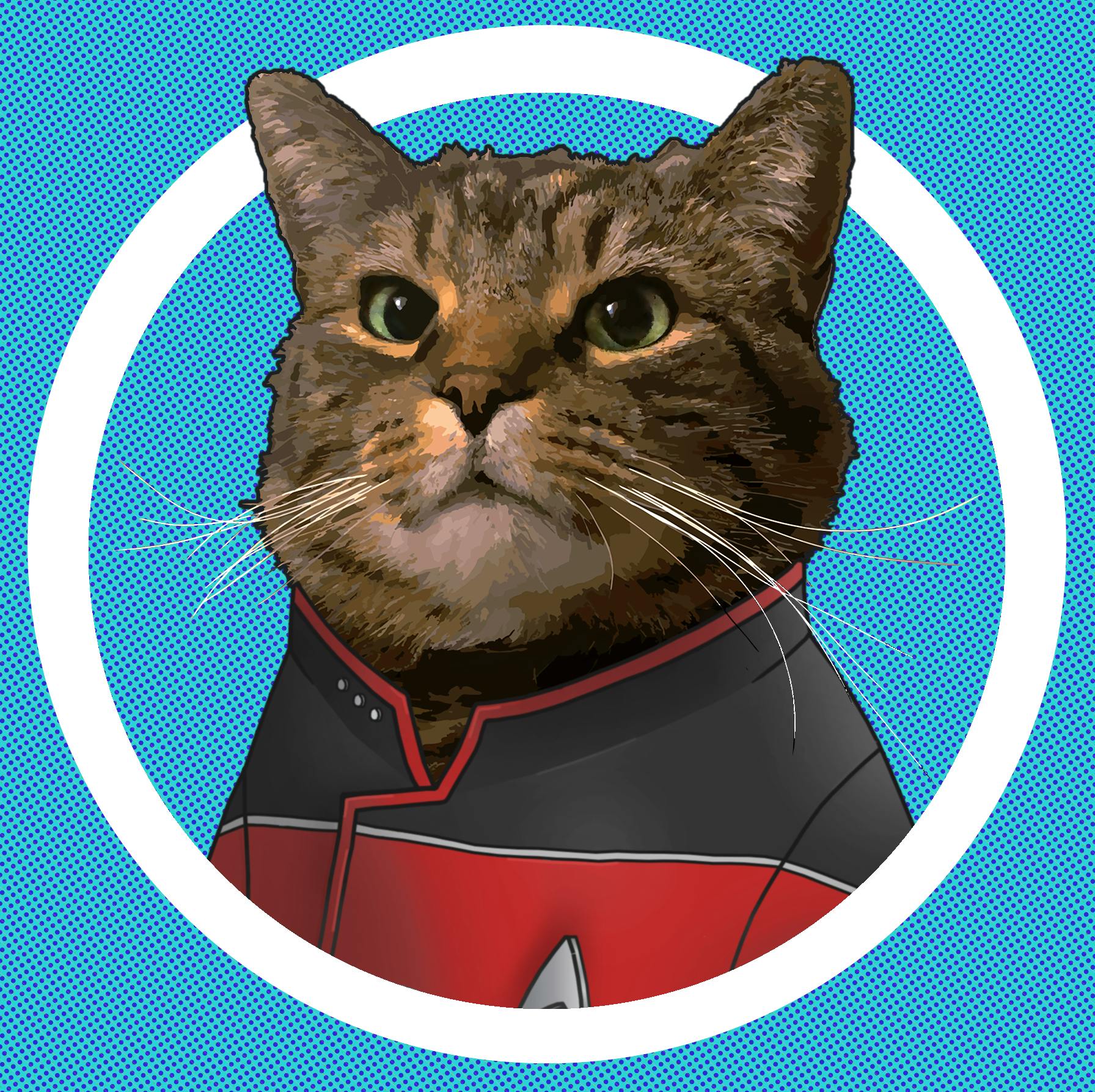 user avatar image for Dejimus Prime