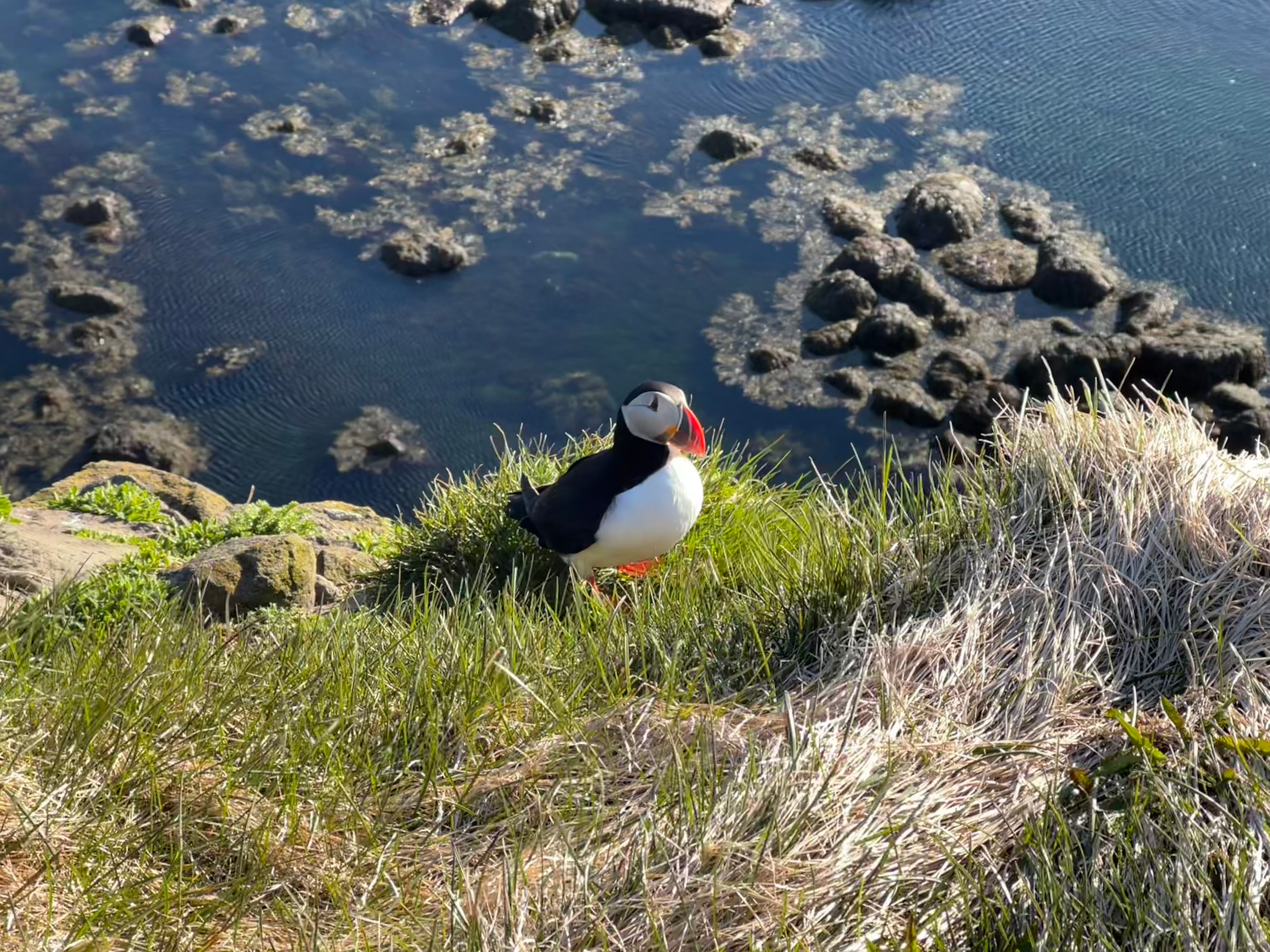 user avatar image for Austin Jensen