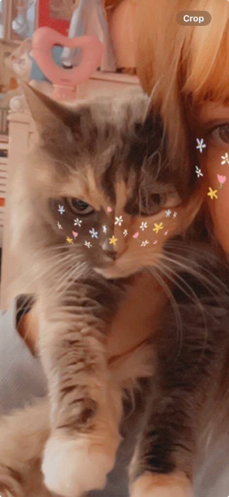 user avatar image for Mack