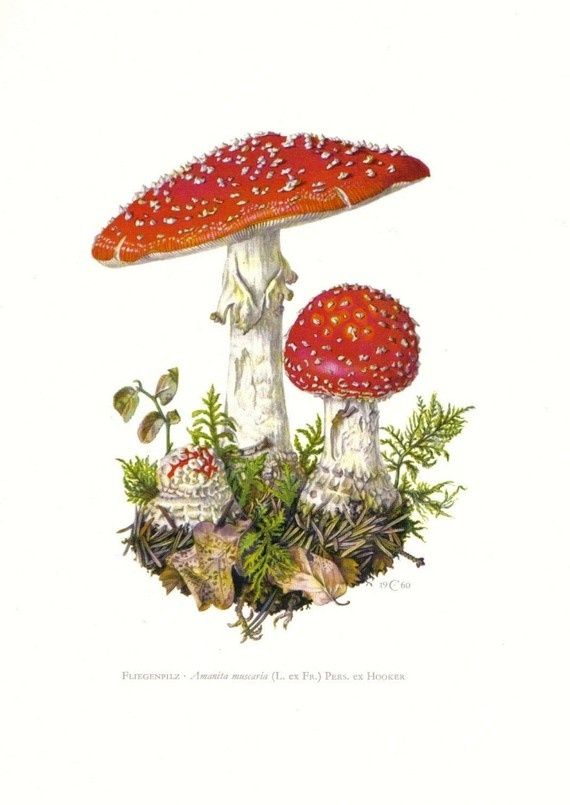 user avatar image for Jenna