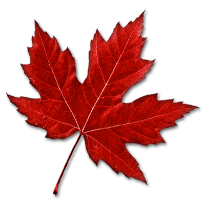 user avatar image for Liam McAuley-Gigliotti