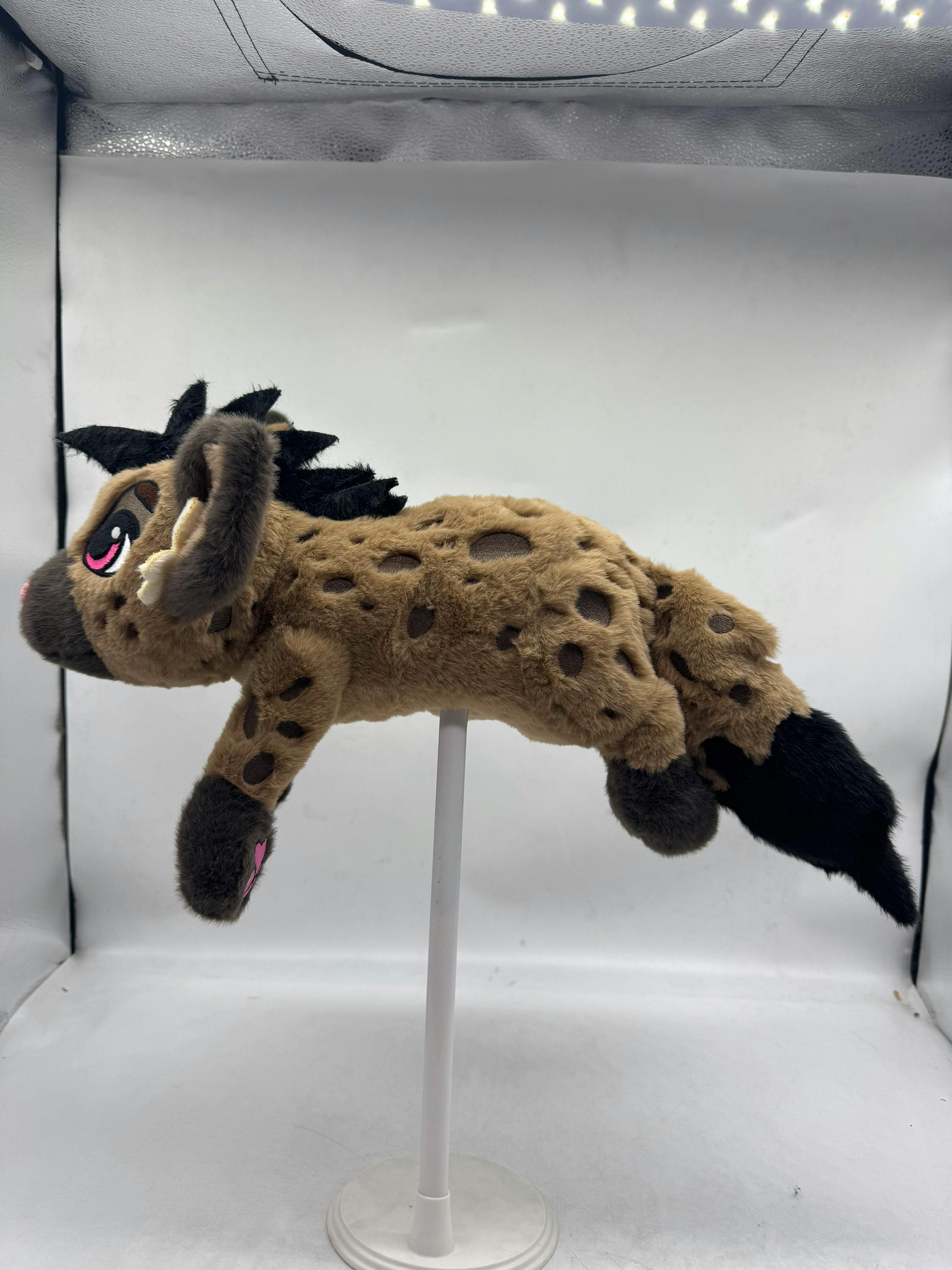 Spotted Hyena 1