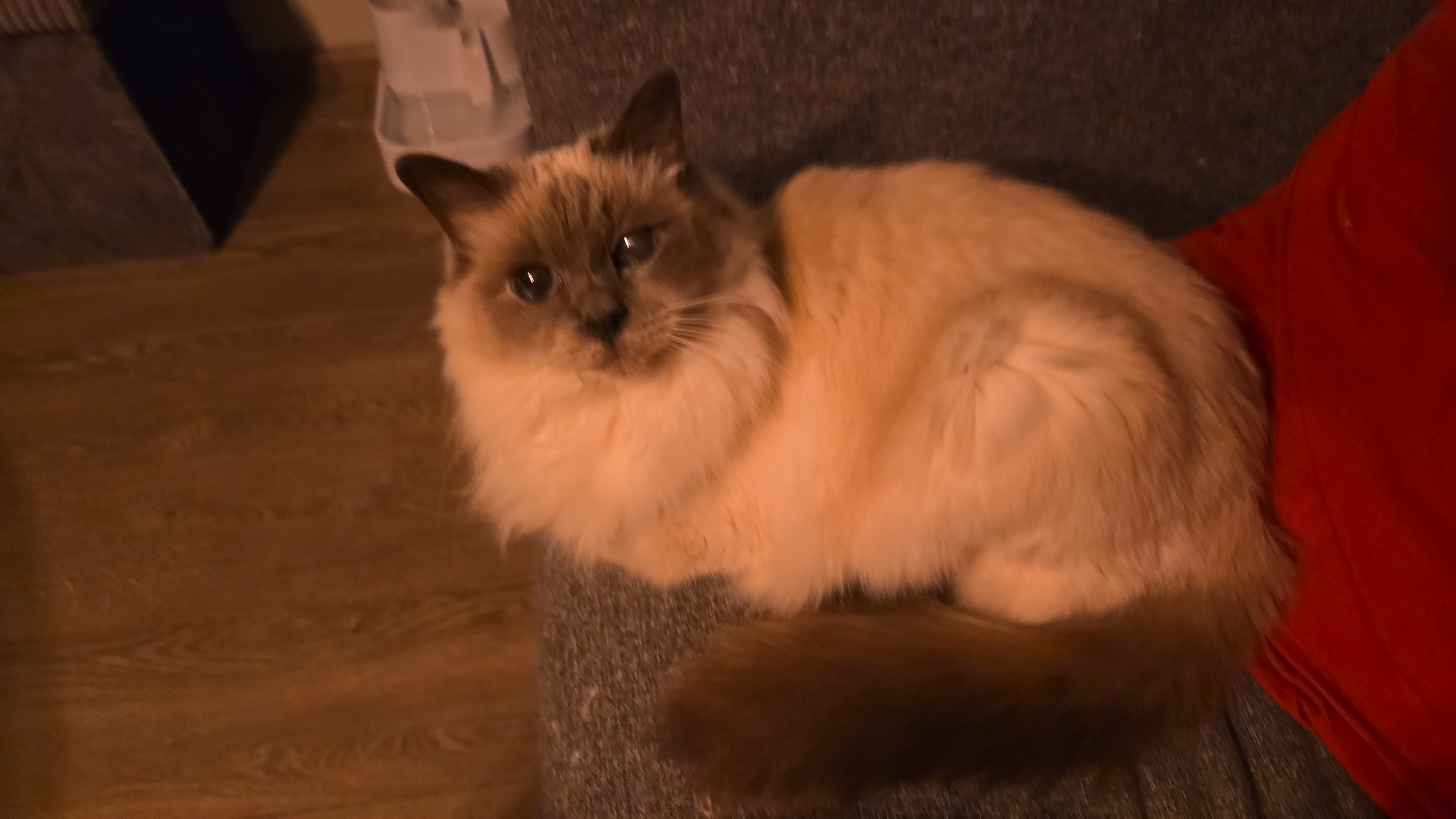 user avatar image for André Streefland