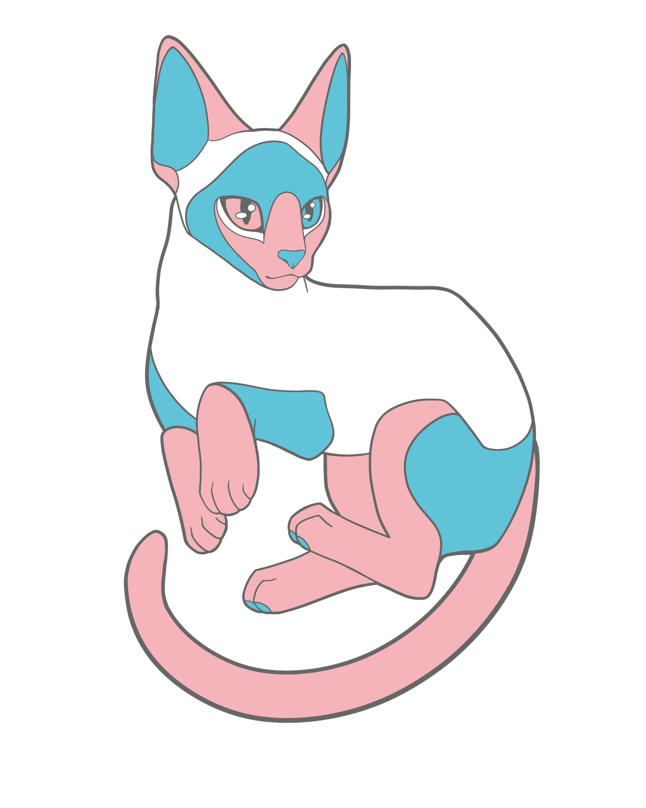 Trans Pride OSH Pin	