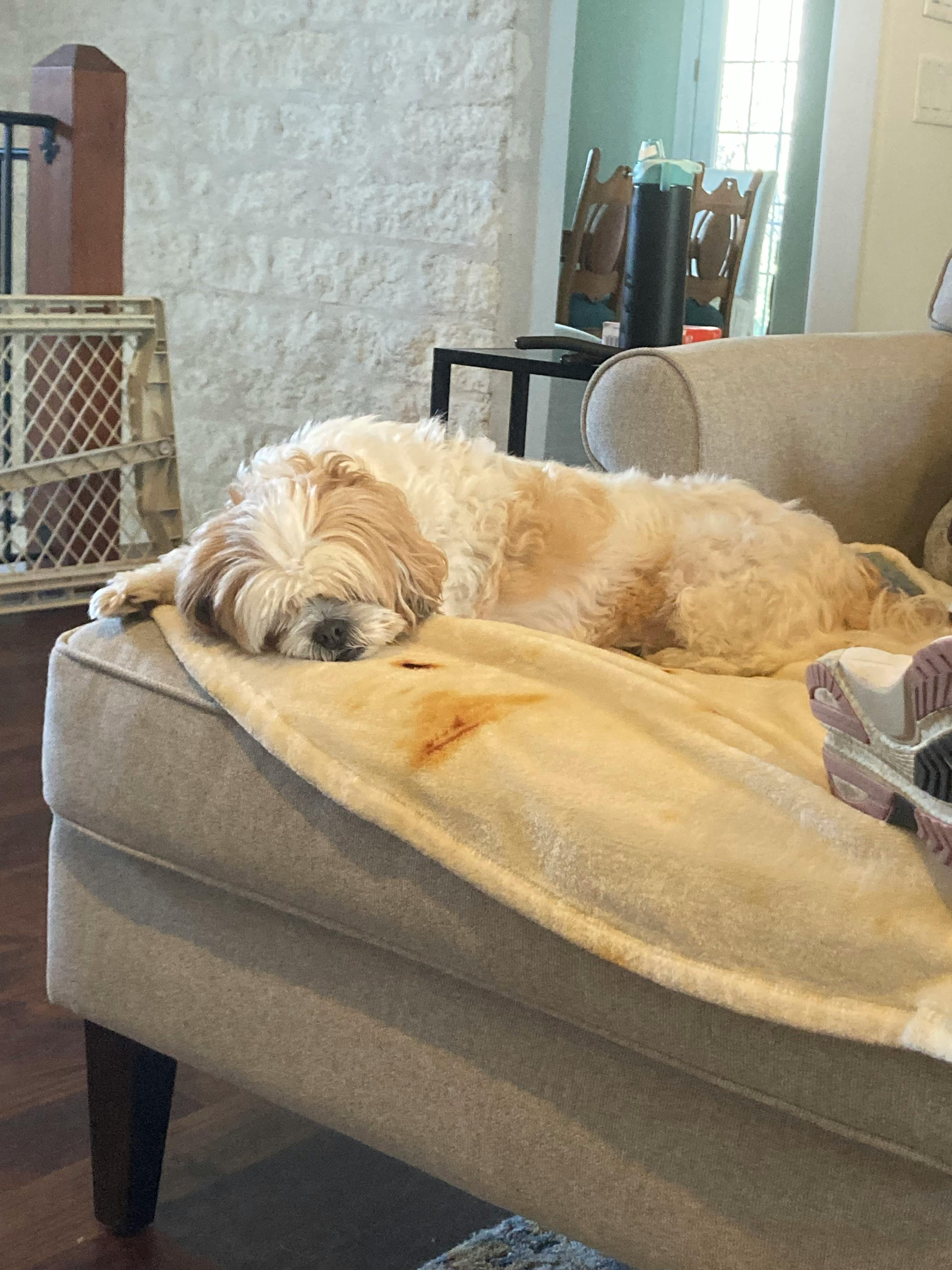 user avatar image for Moth