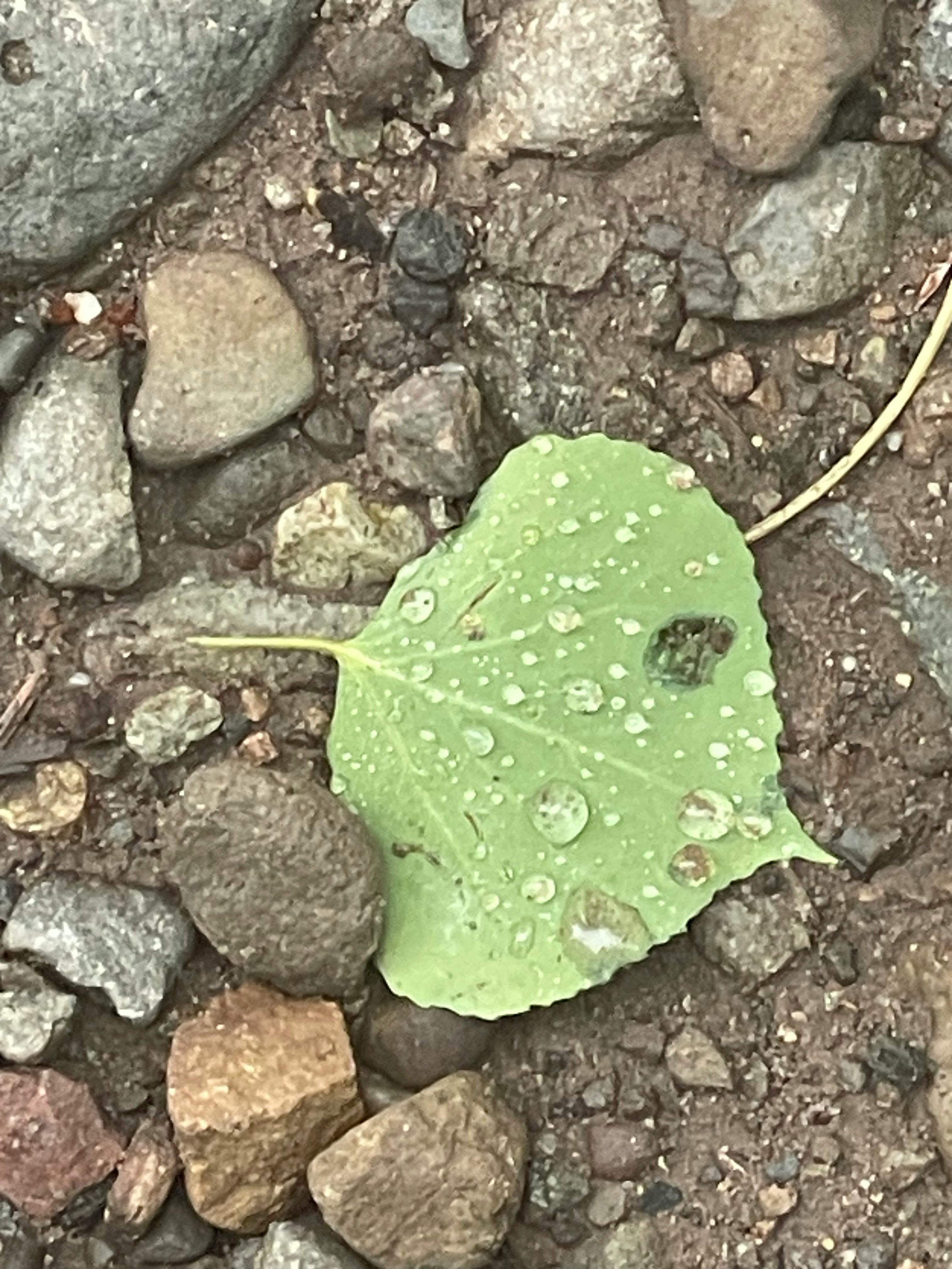 user avatar image for Michael