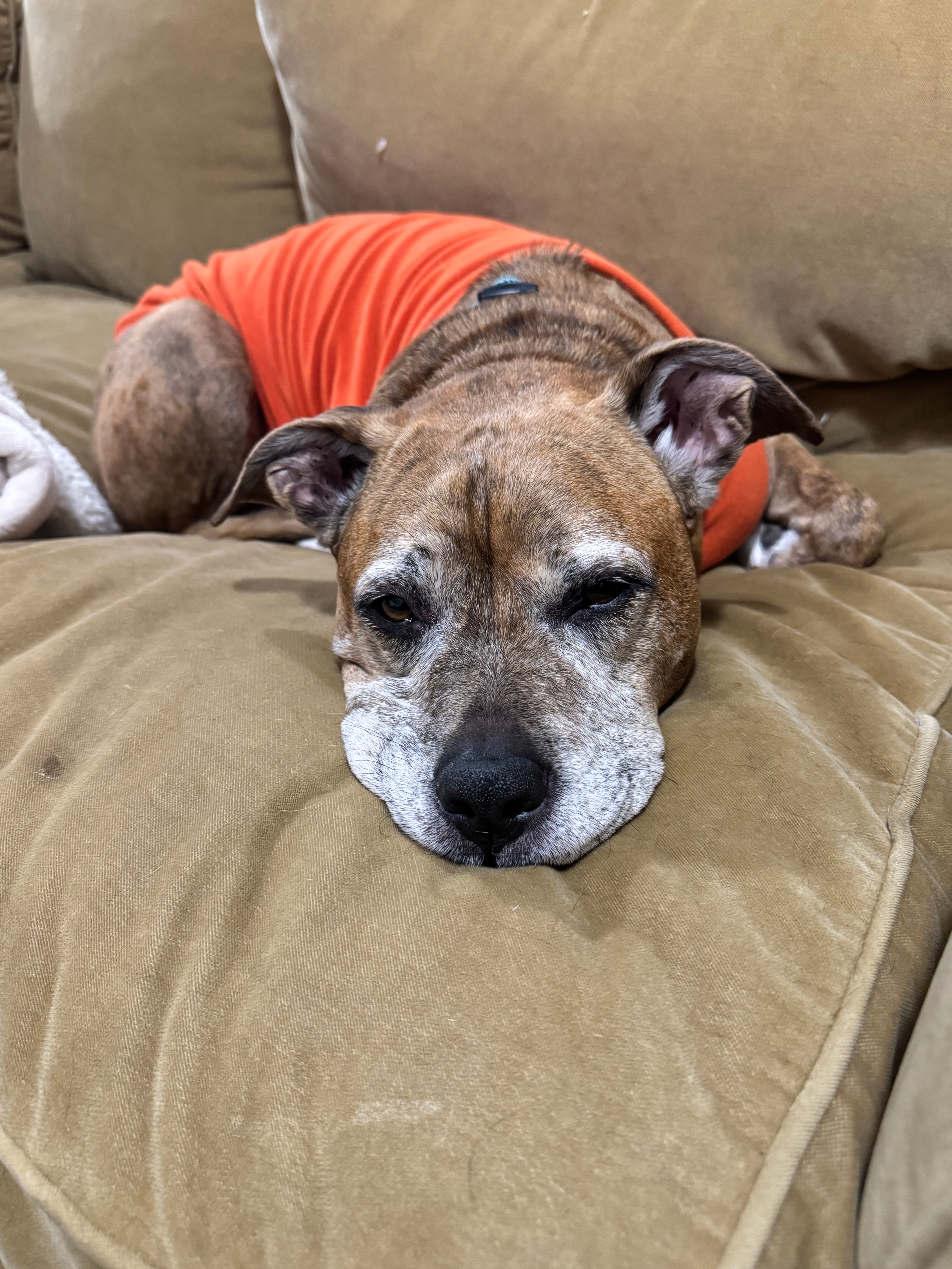 user avatar image for Todd Walters