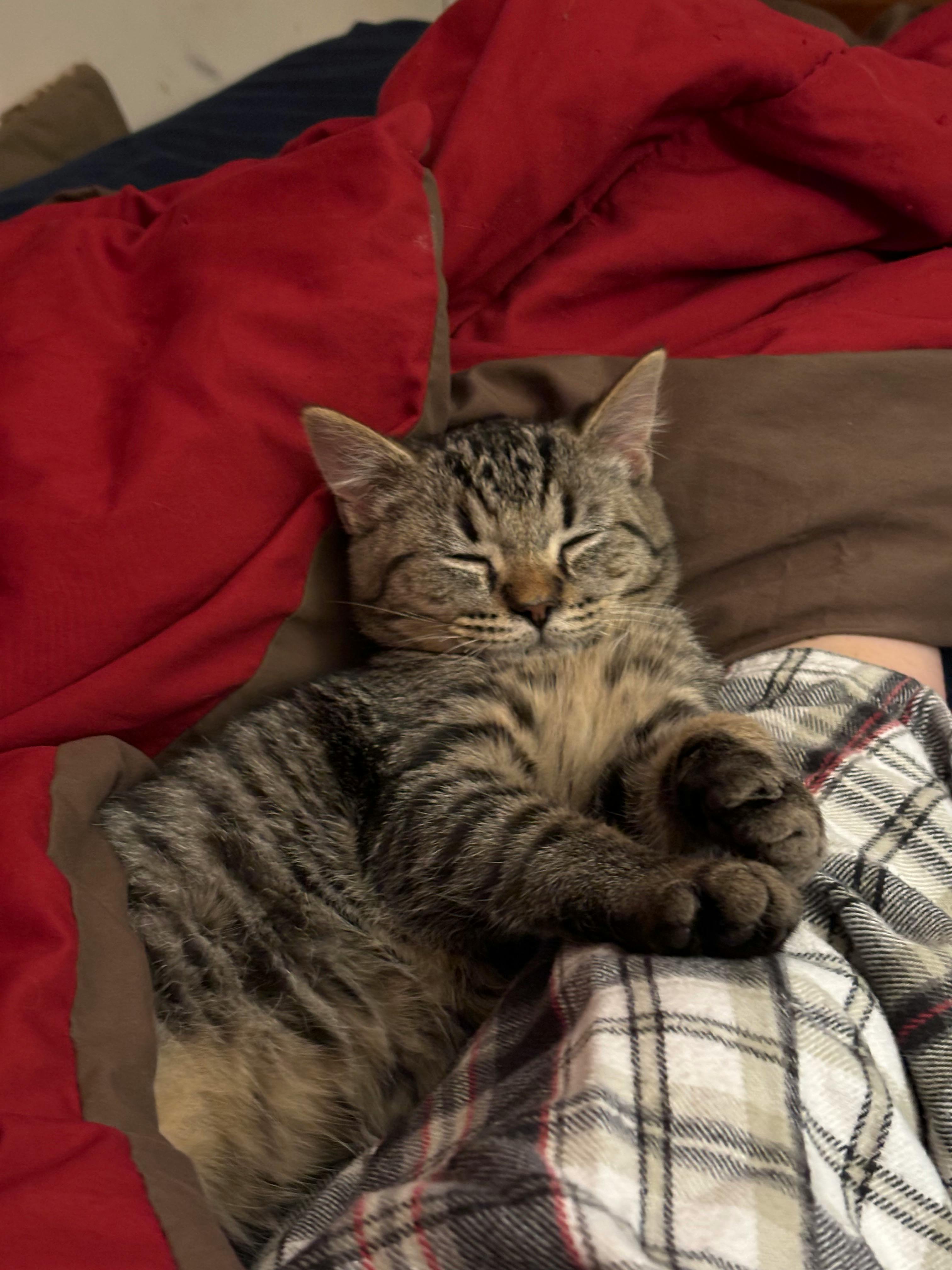 user avatar image for Faithe P.