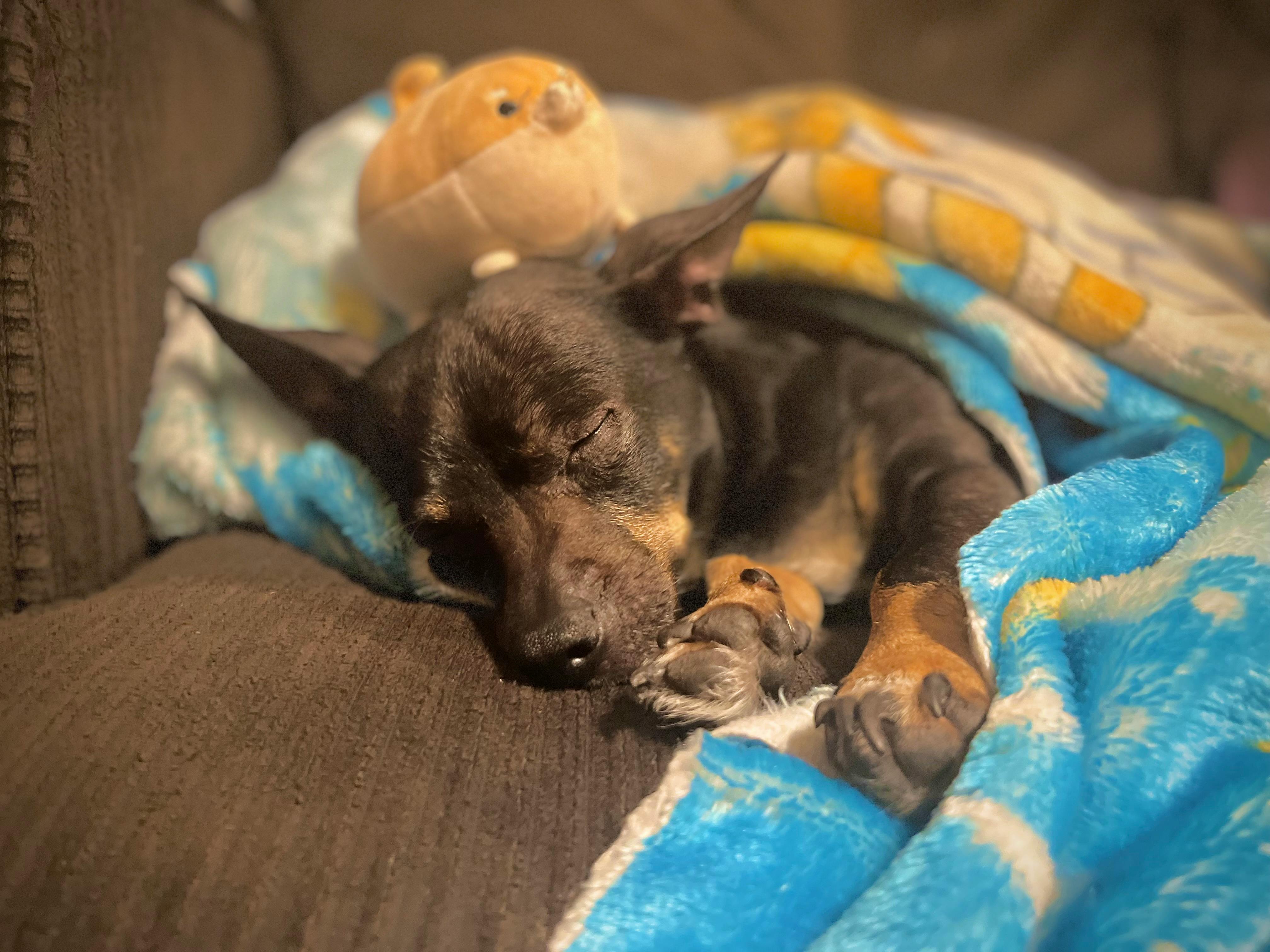 user avatar image for Fission13