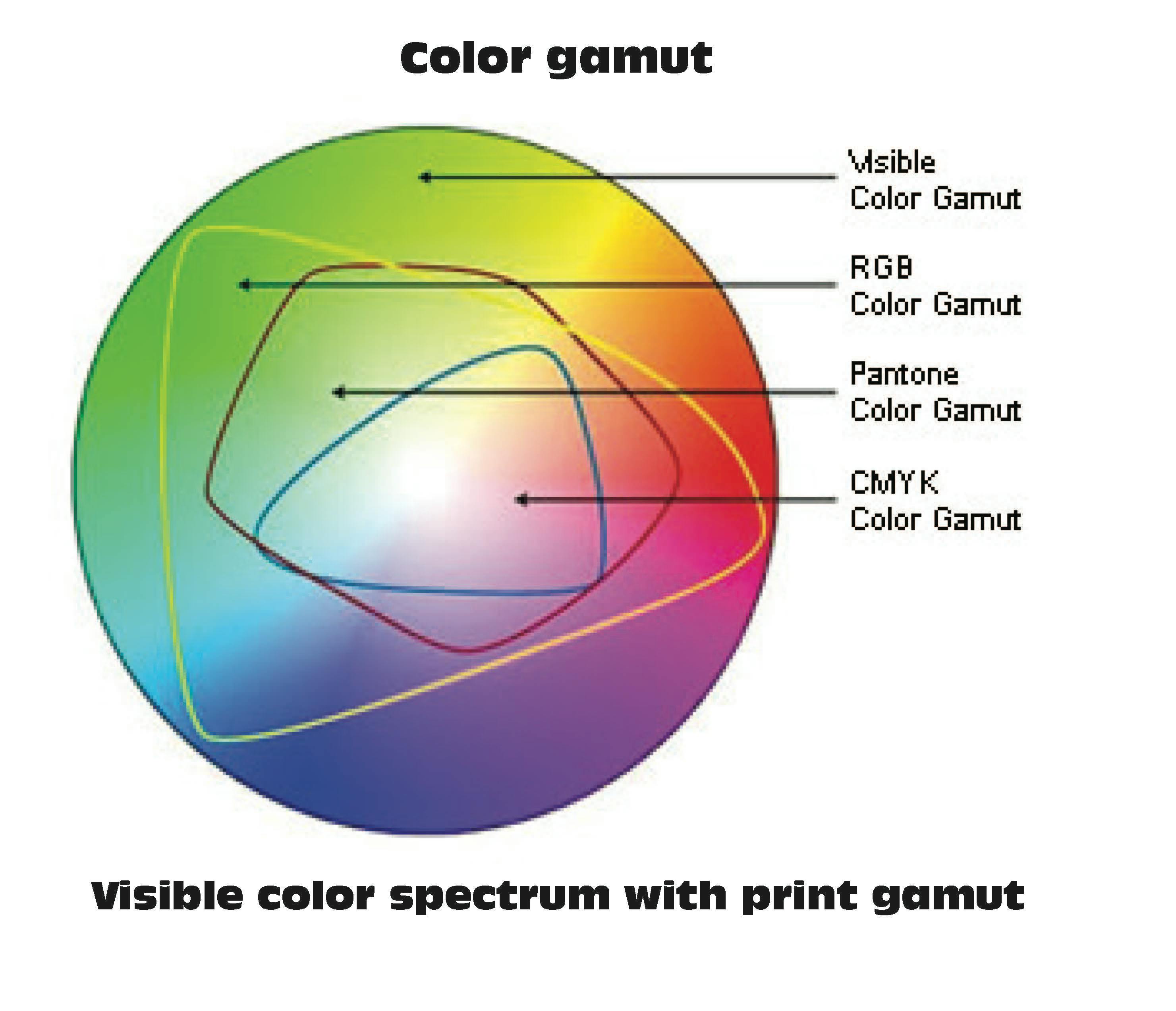 user avatar image for Timothy Schneider