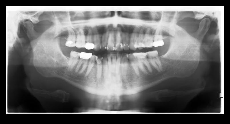 user avatar image for techgonzo