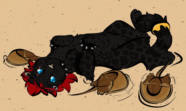 user avatar image for Ryshili Caproni