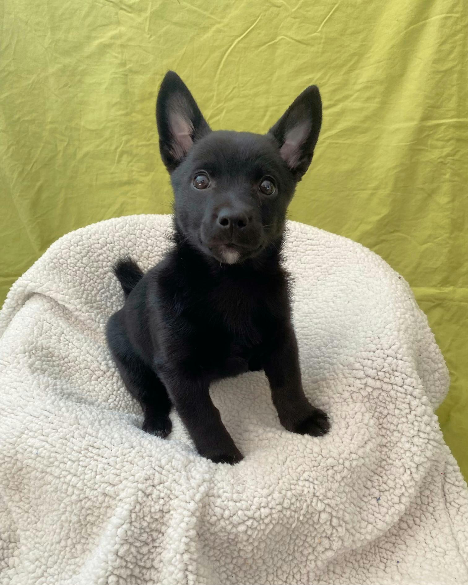 user avatar image for William Cooper