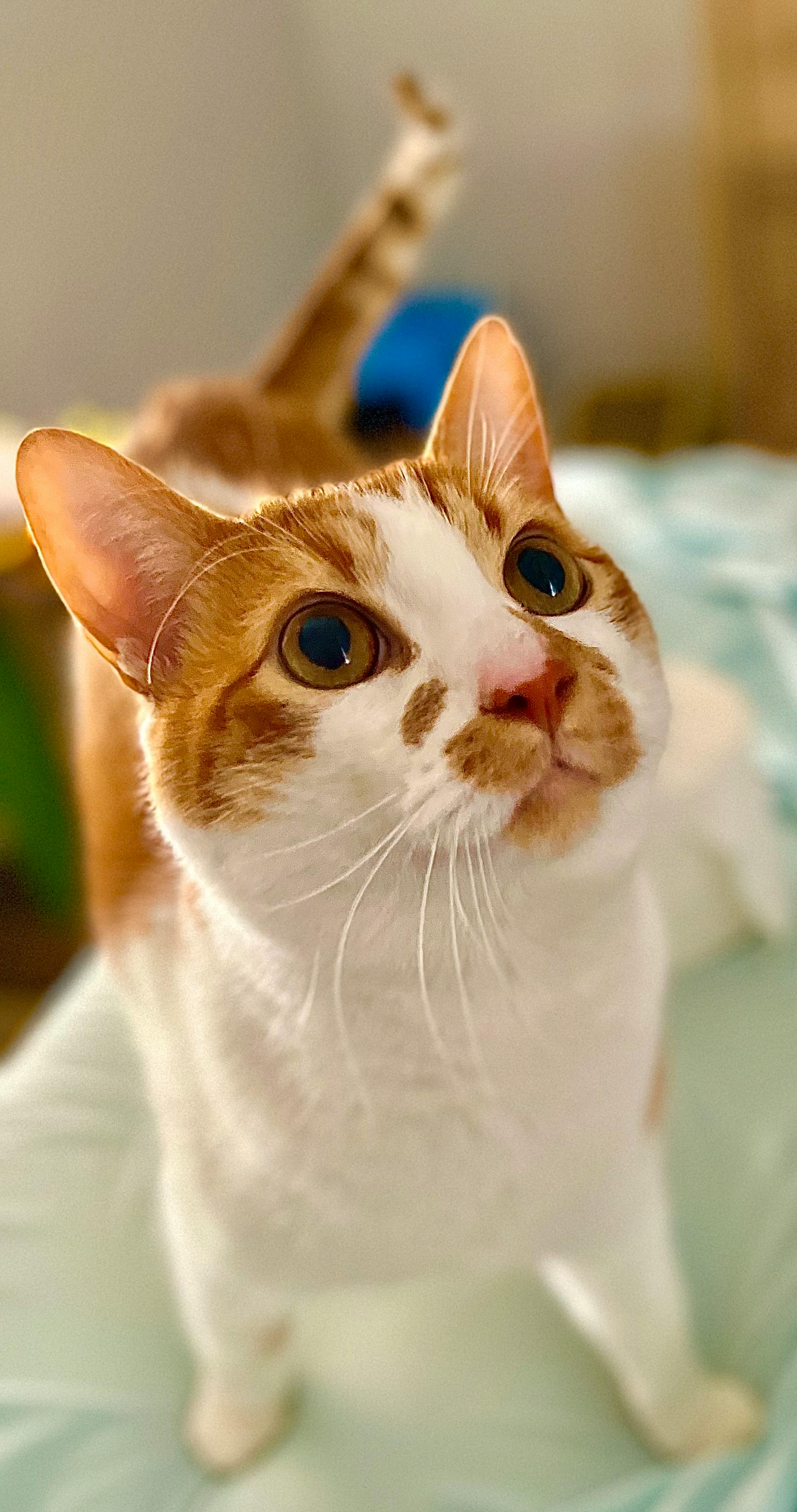 user avatar image for AlyxiLeFay