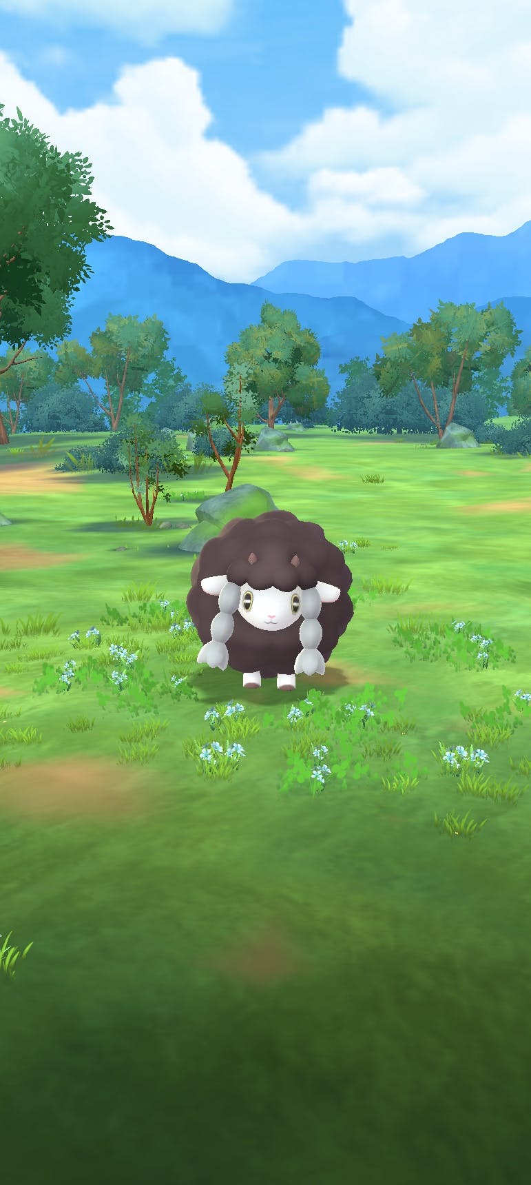 user avatar image for Alyshia Bohannon