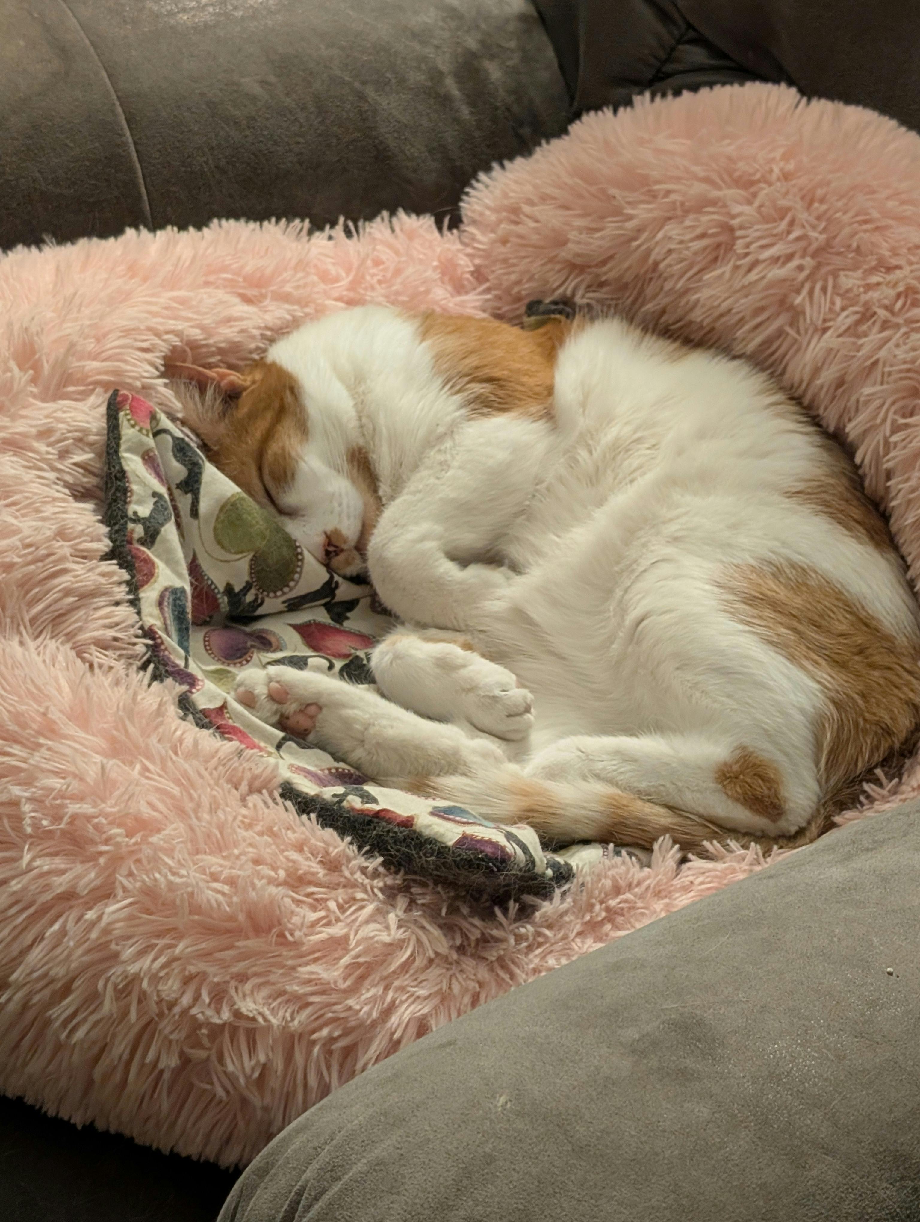 user avatar image for Brittany