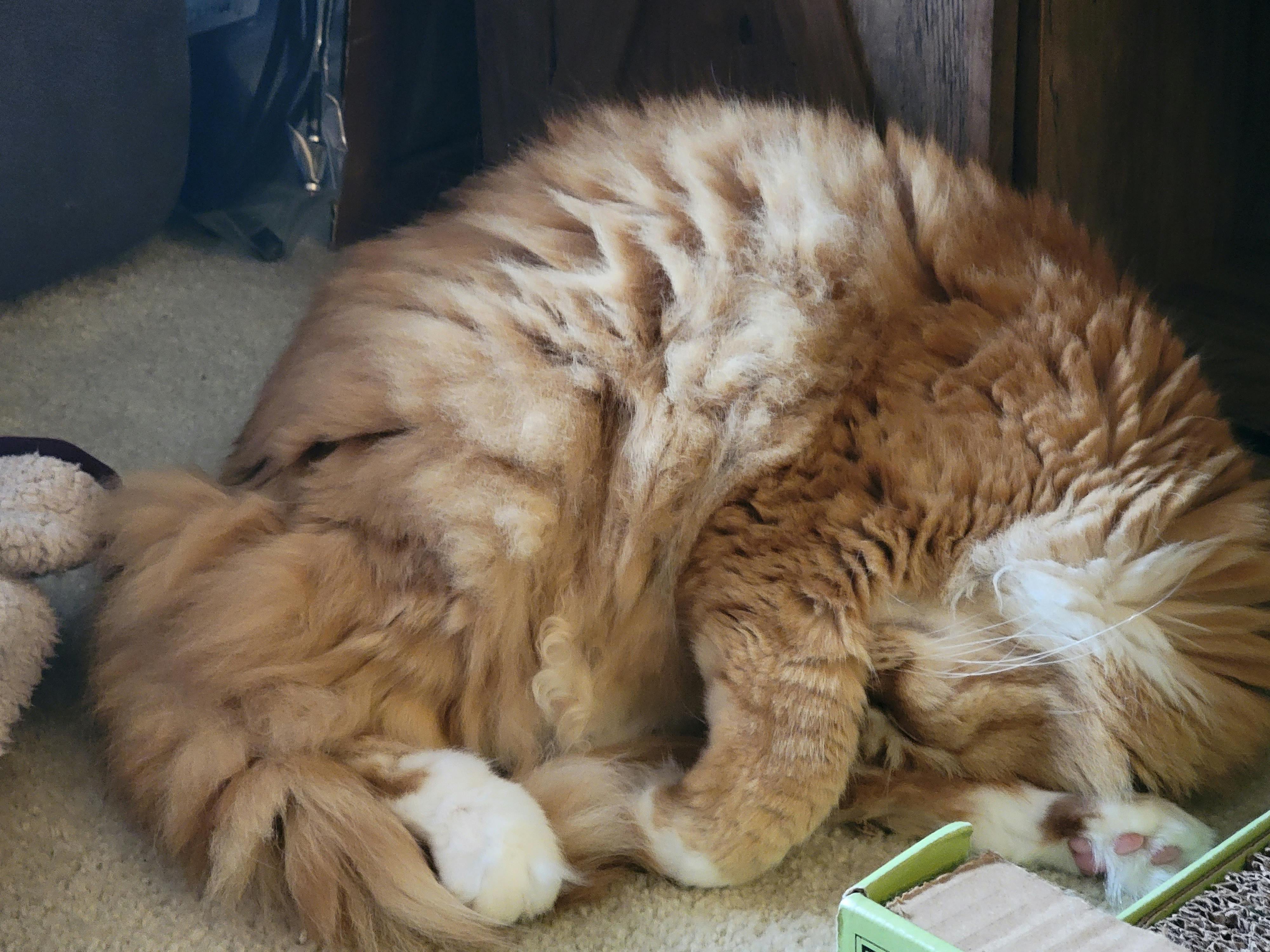 user avatar image for Colleen Tay