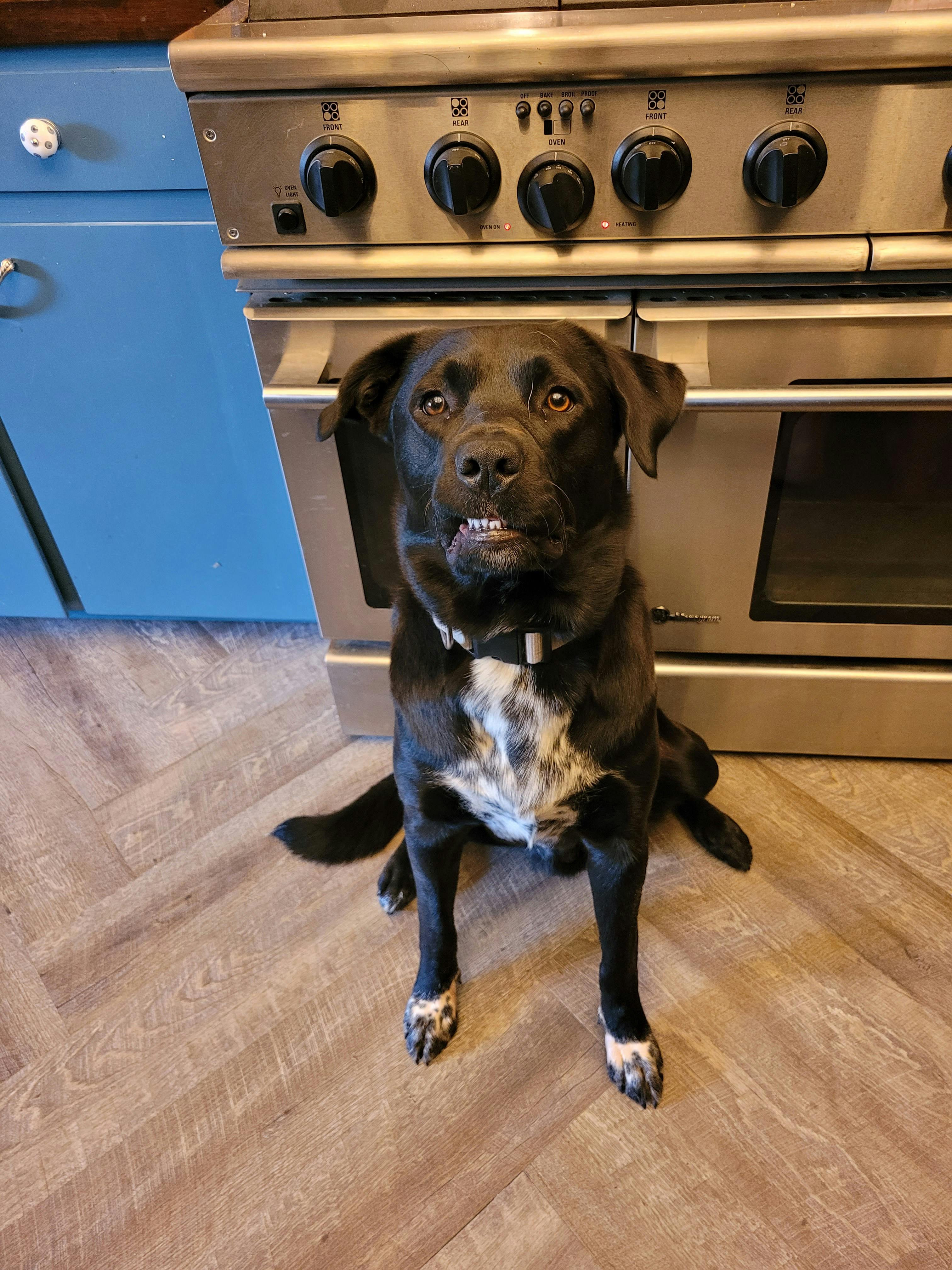 user avatar image for ThisBoredPanda