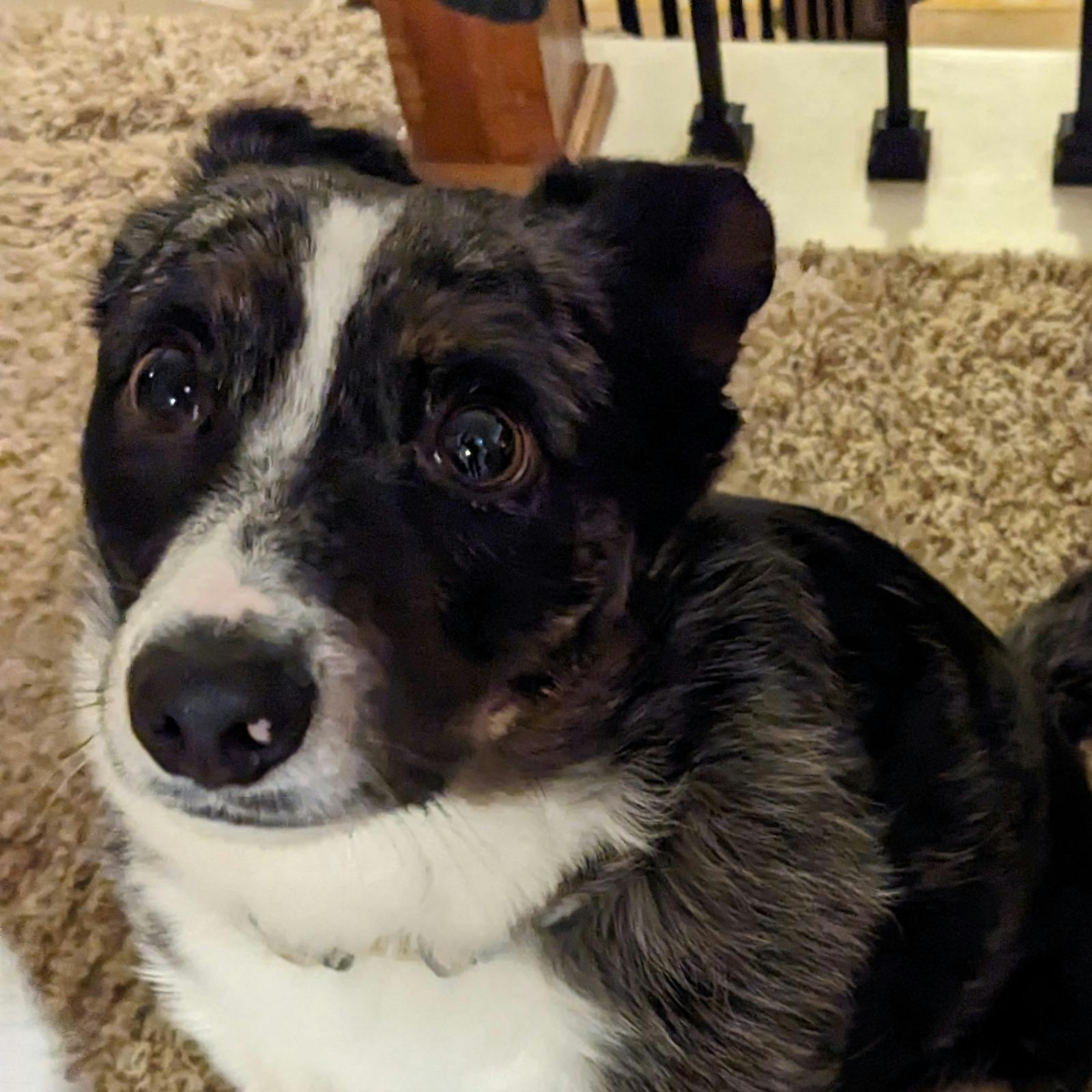 user avatar image for D Helm