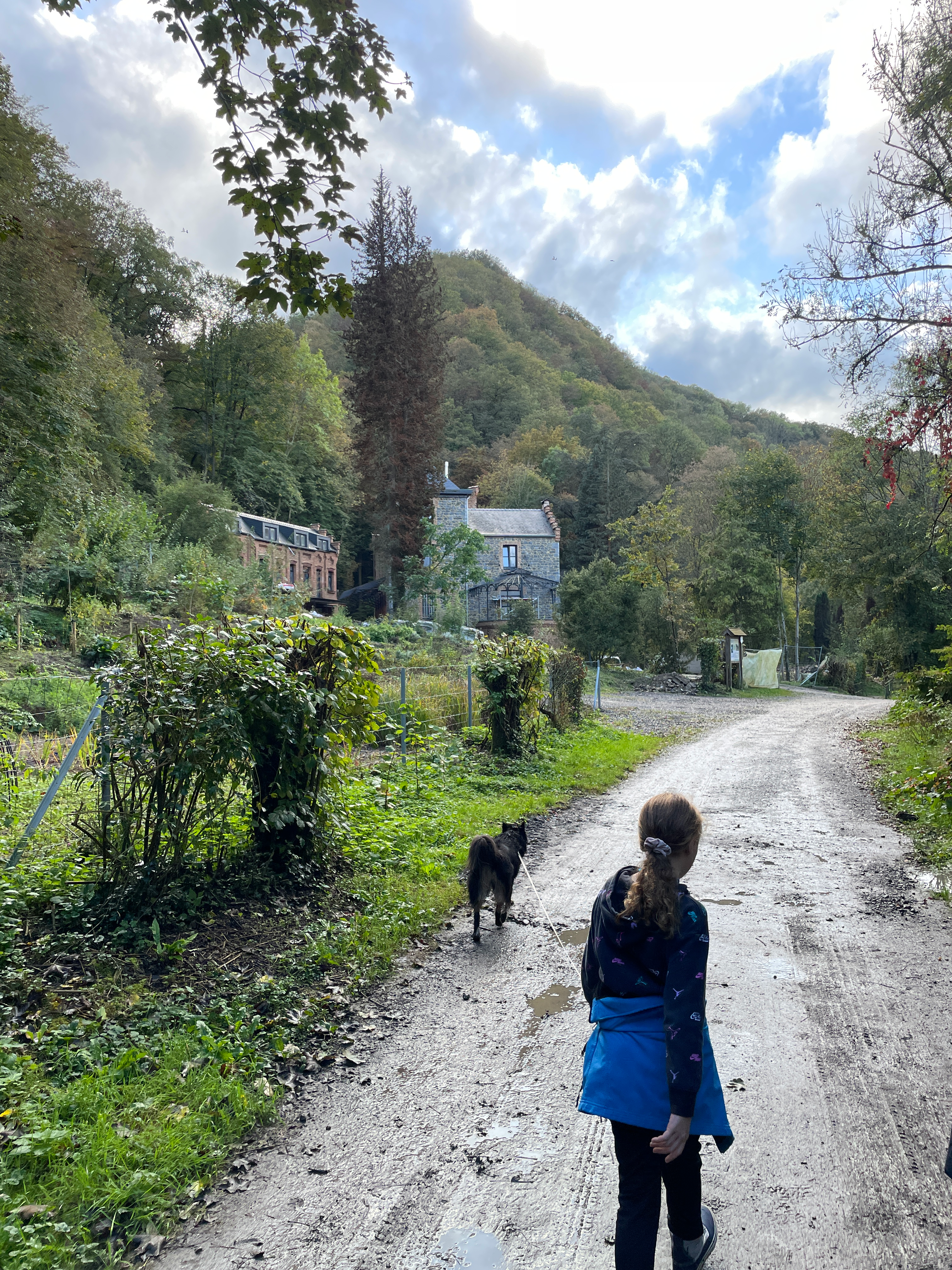 user avatar image for Sophie van Rooijen