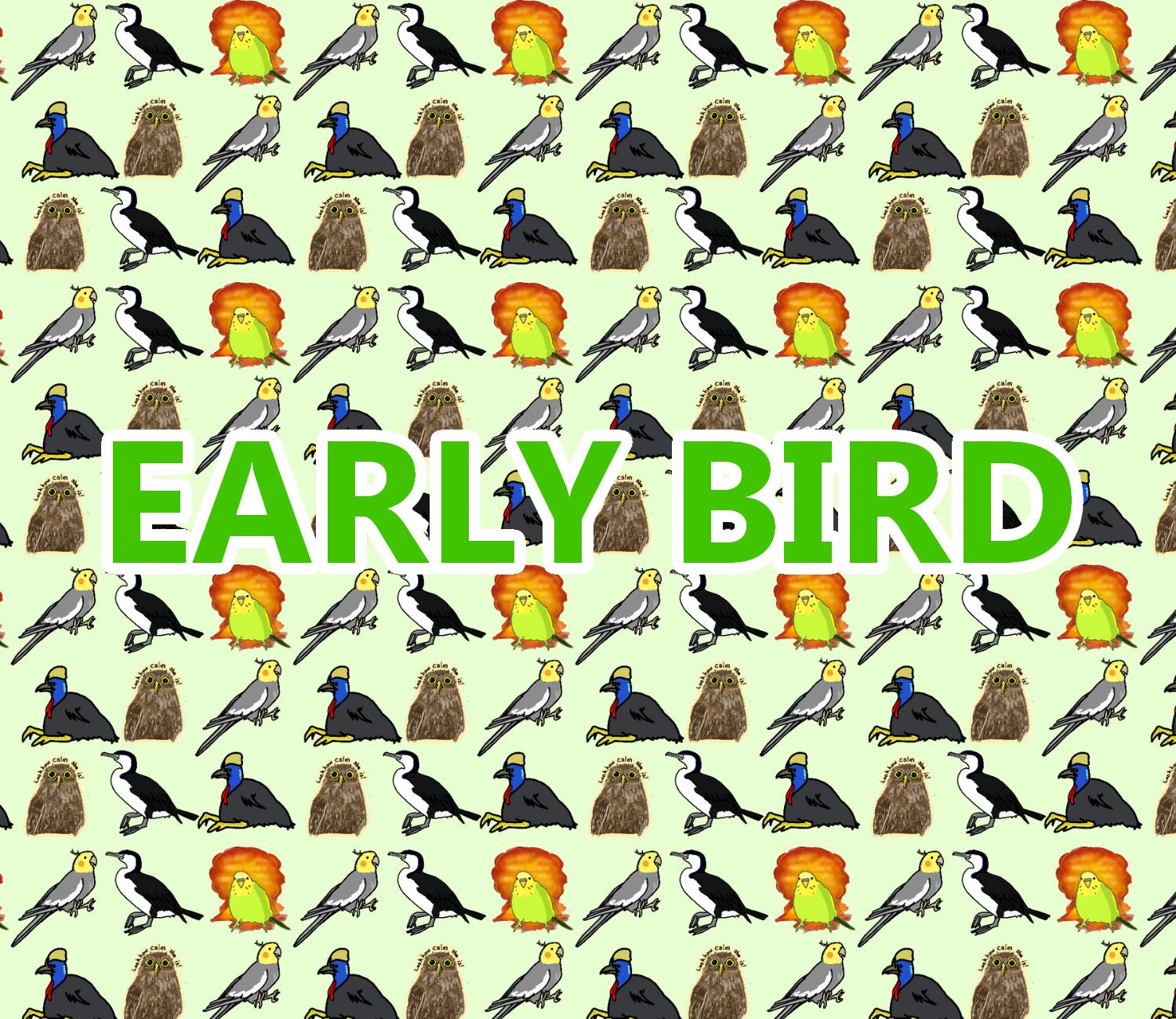 EARLY BIRD 6 Pins and 6 Keychains! + Gift!