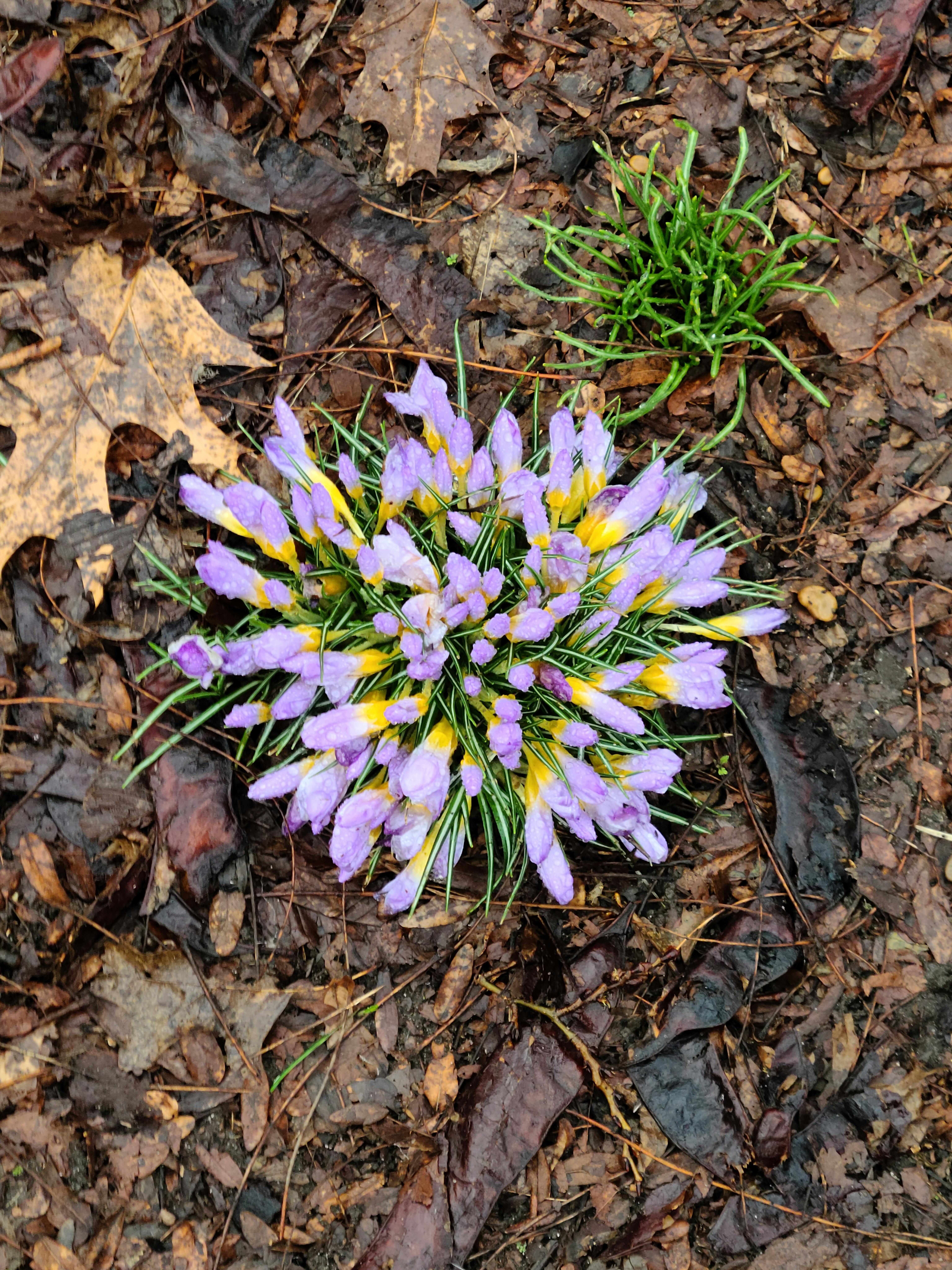 user avatar image for EJ