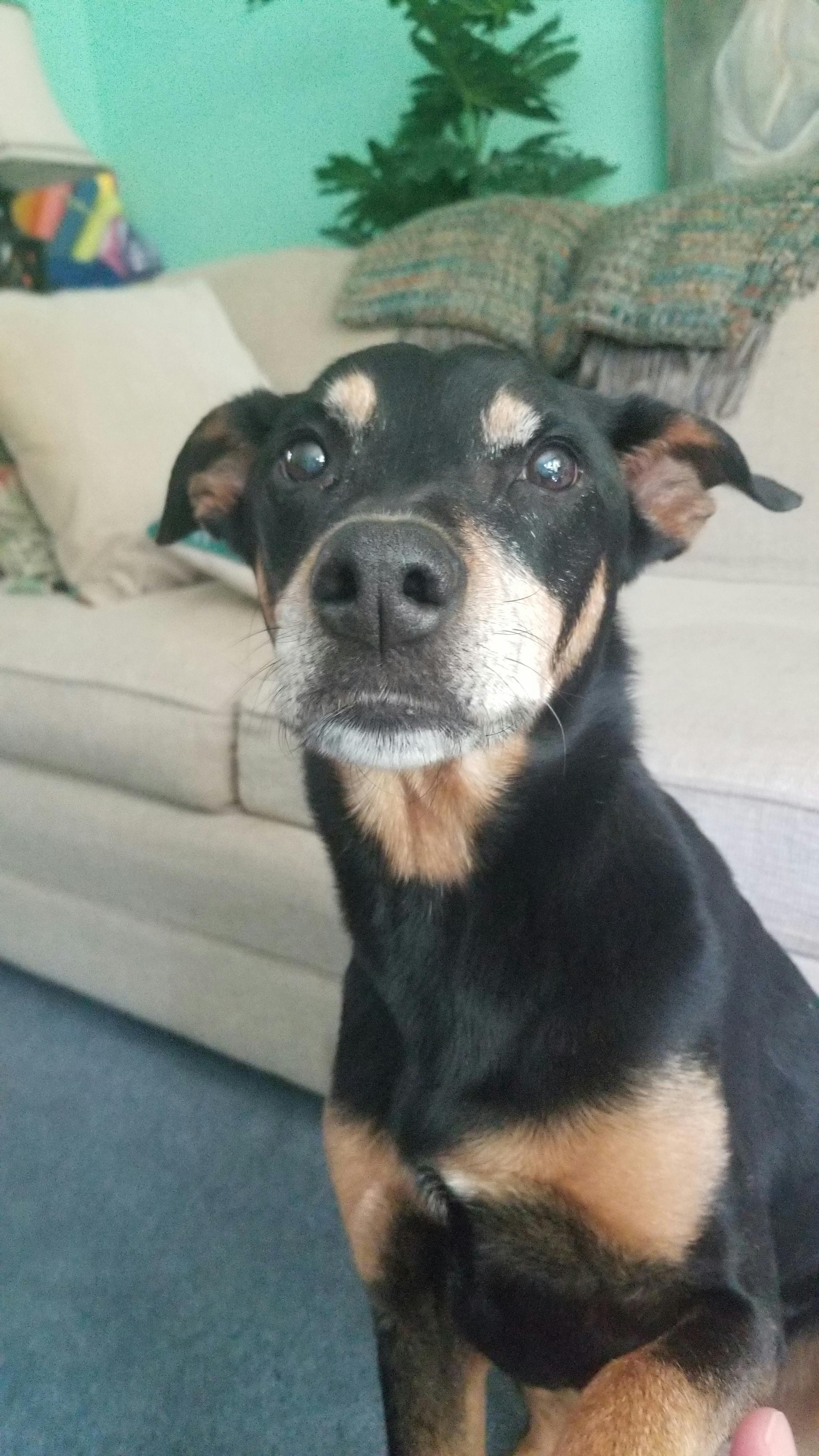 user avatar image for Craig Smith