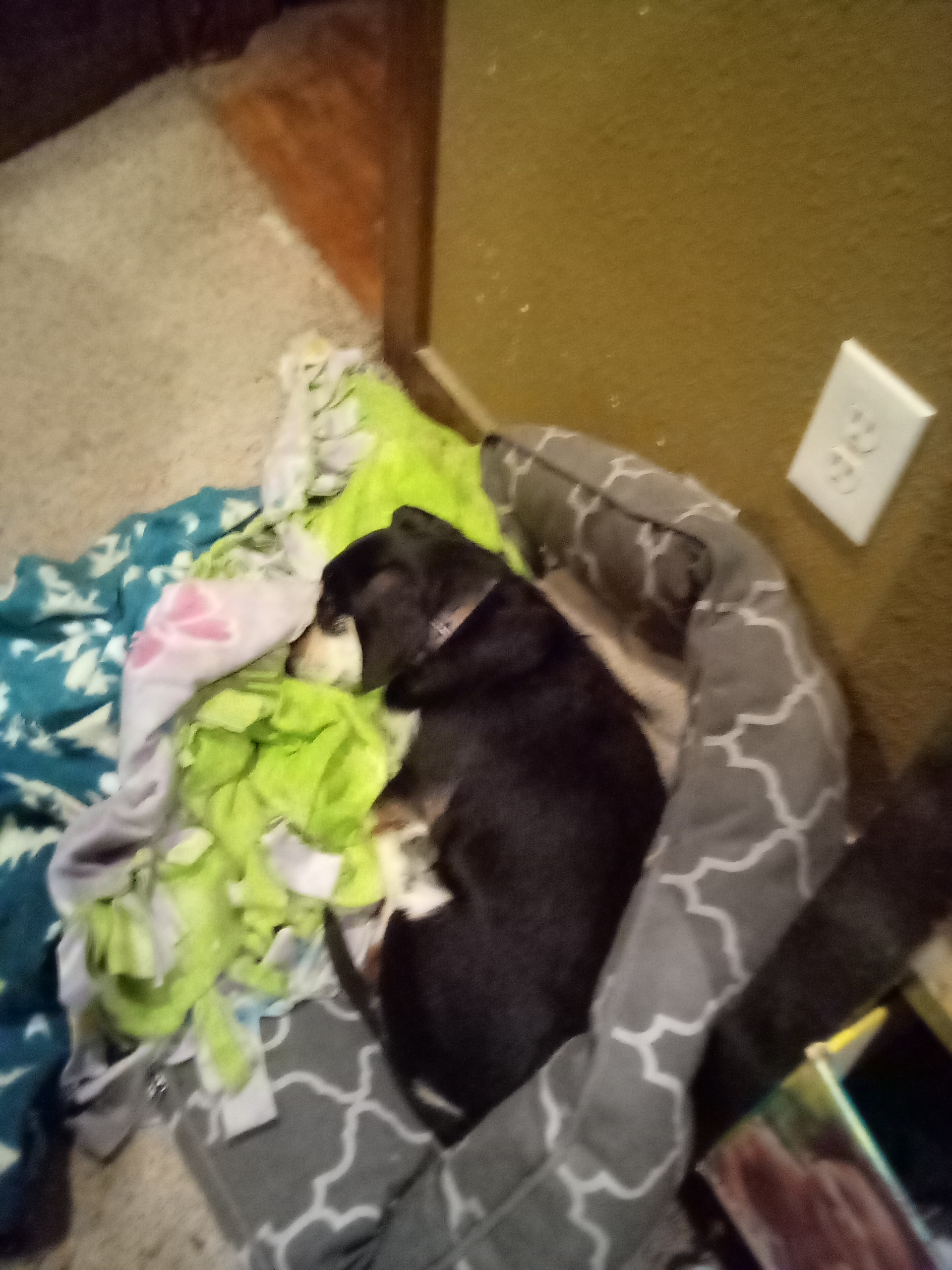 user avatar image for IceTimelord