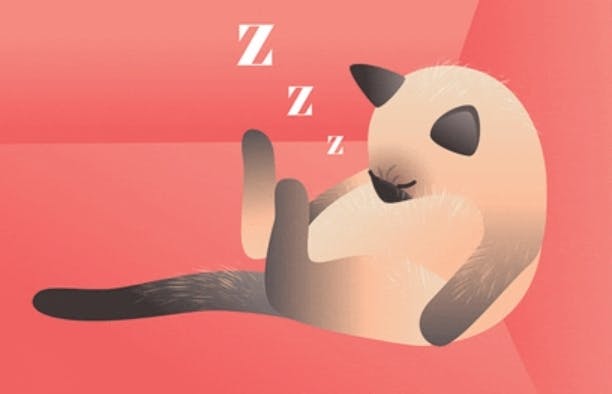 user avatar image for Harriet Rankin 