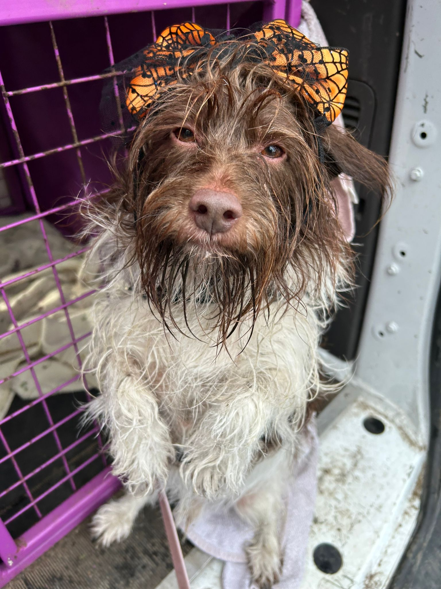 user avatar image for Ben