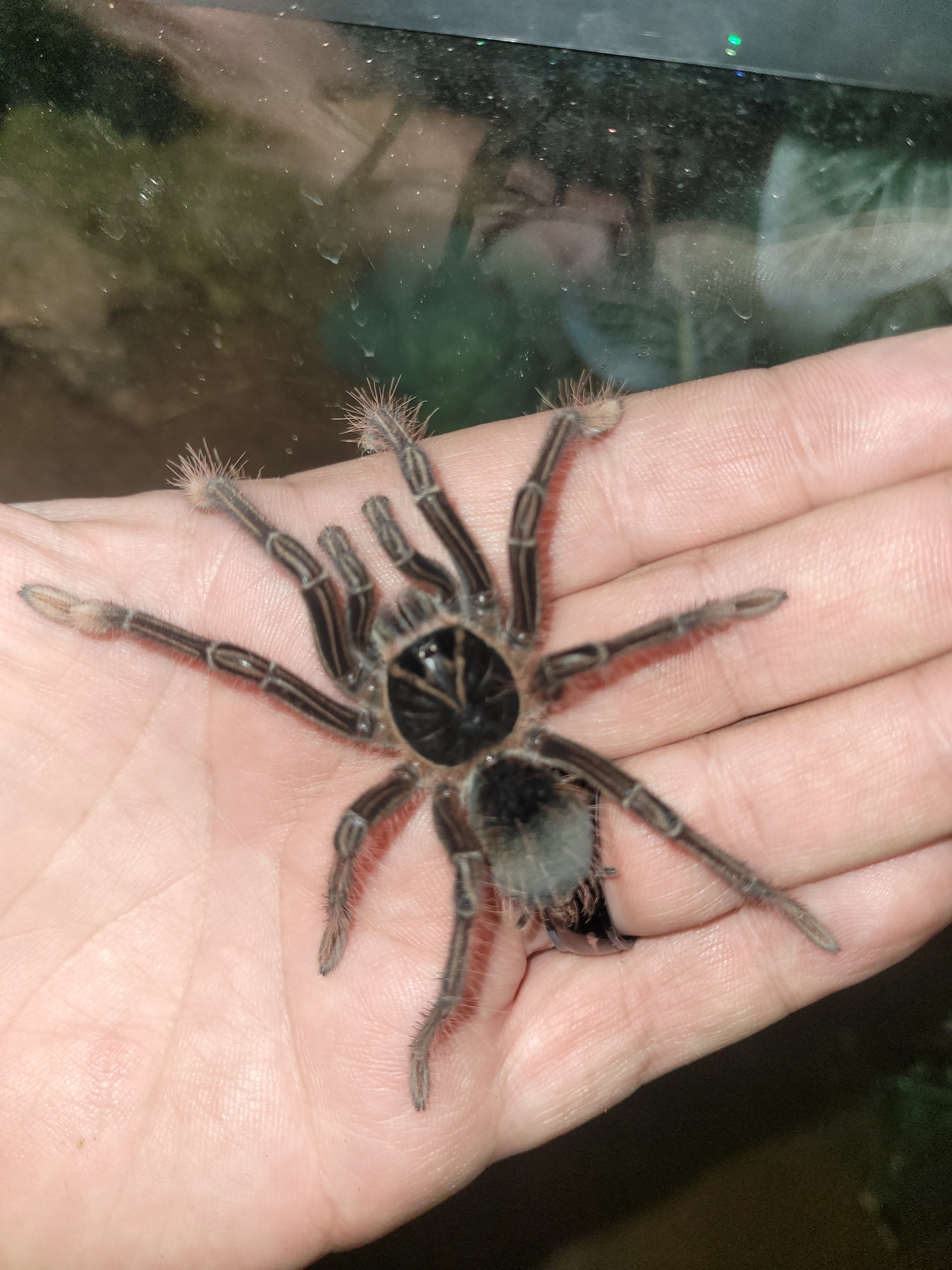 user avatar image for Keith Ray 