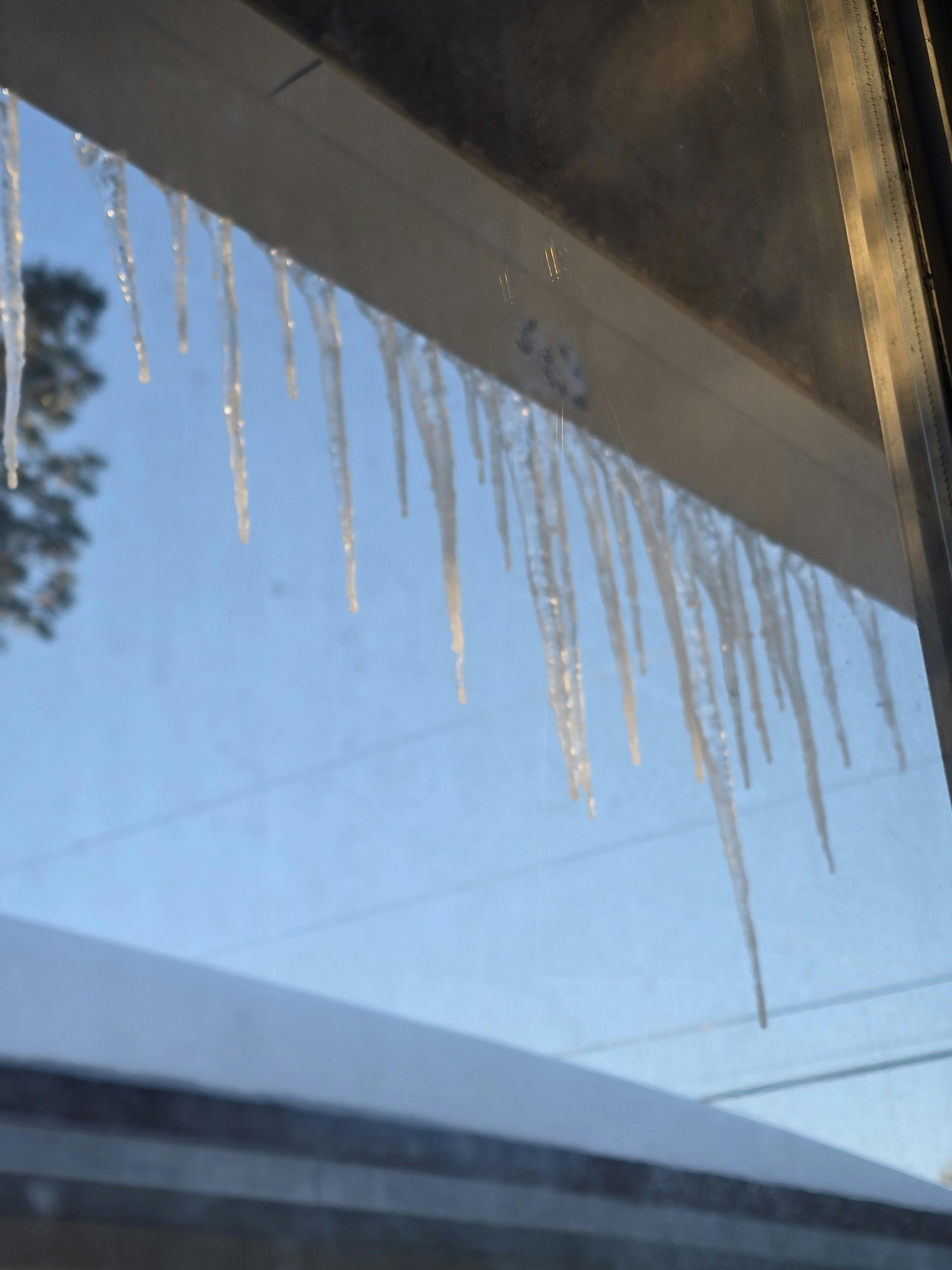 user avatar image for Lissette Buckley