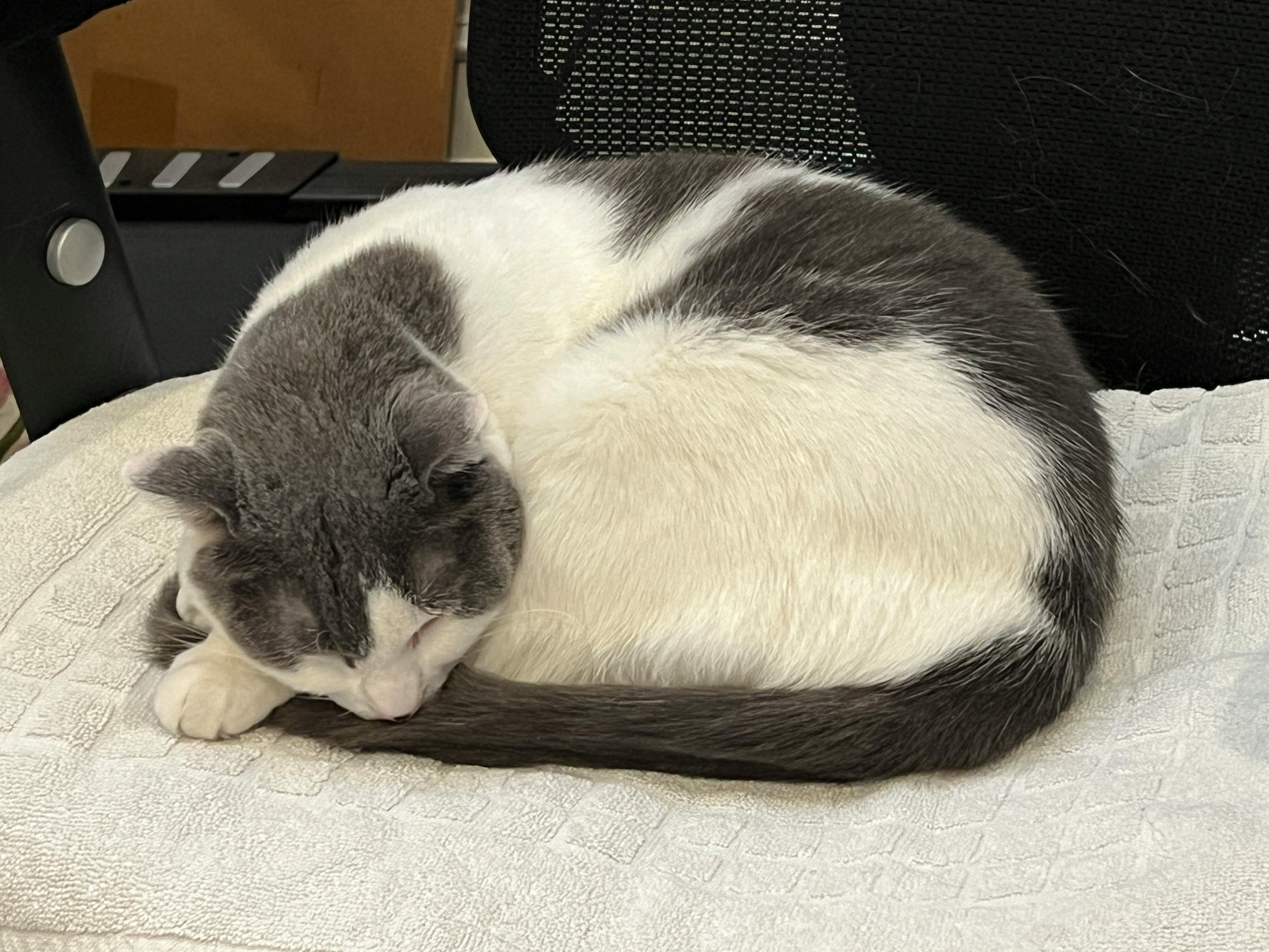 user avatar image for Meggie Aikens