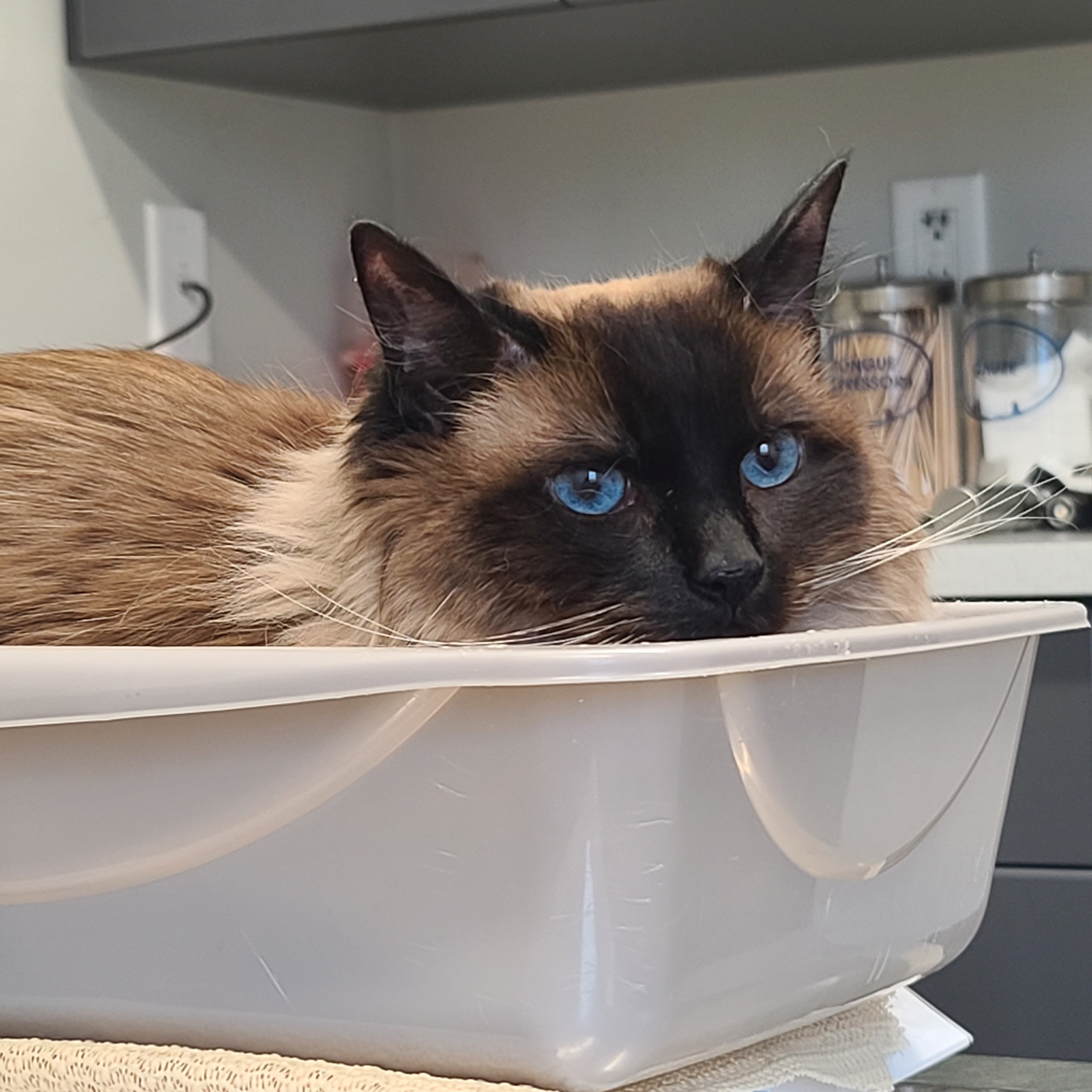 user avatar image for Jon T