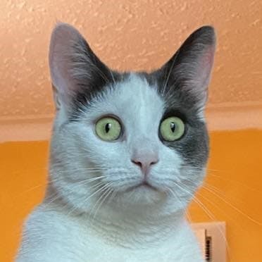 user avatar image for Lisa Dore