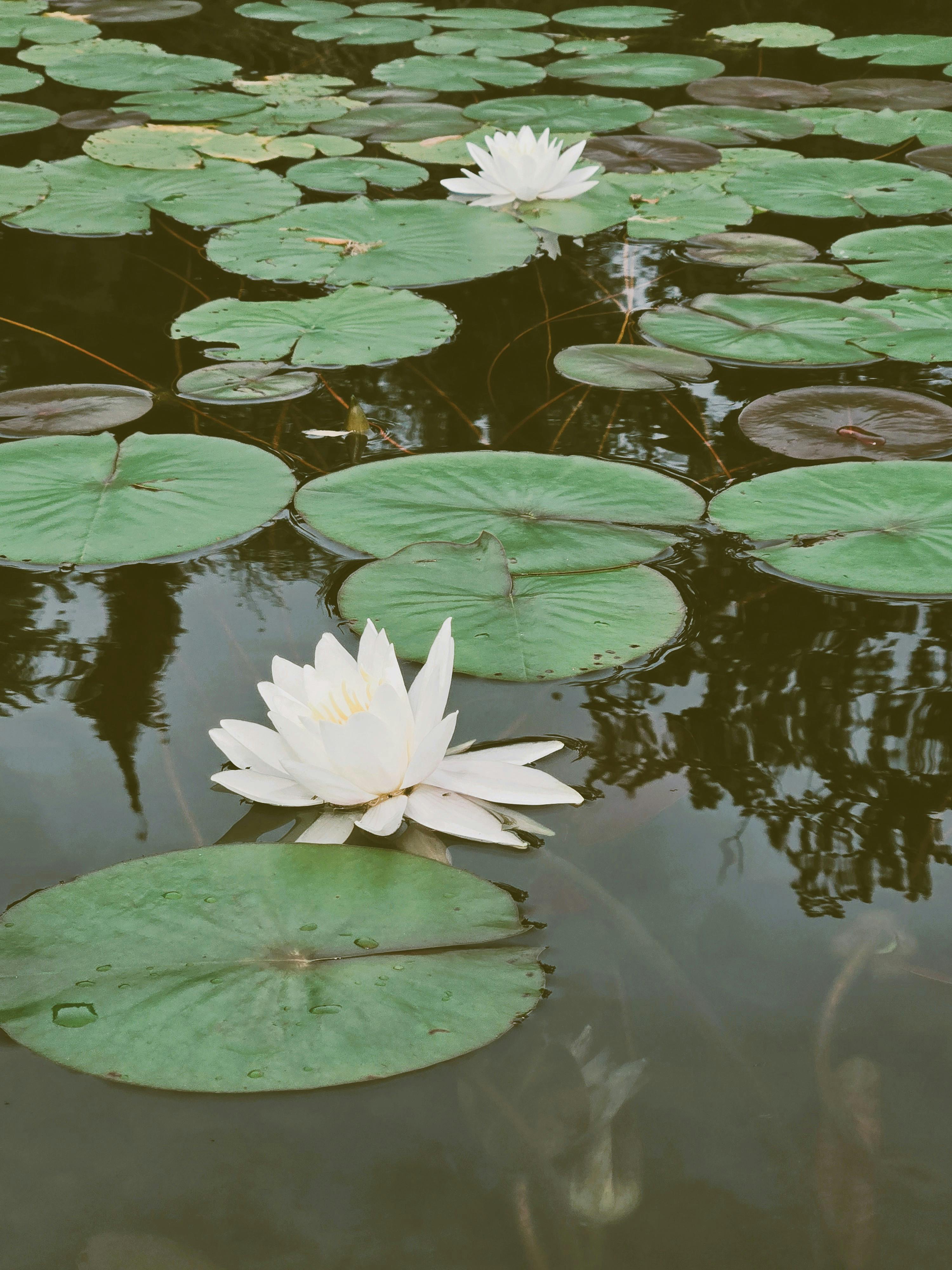 user avatar image for Kayla