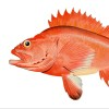user avatar image for Sean Winser