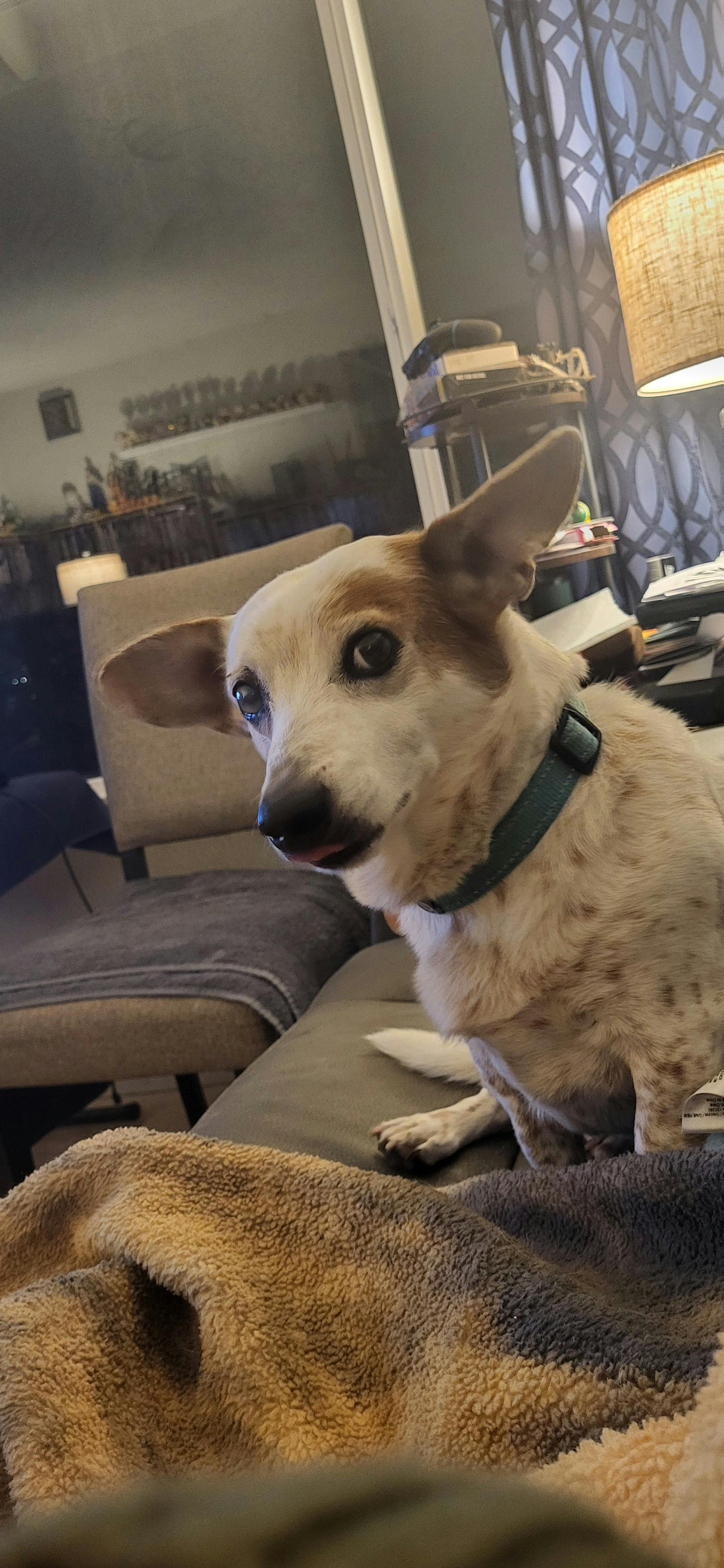 user avatar image for Readingmaven