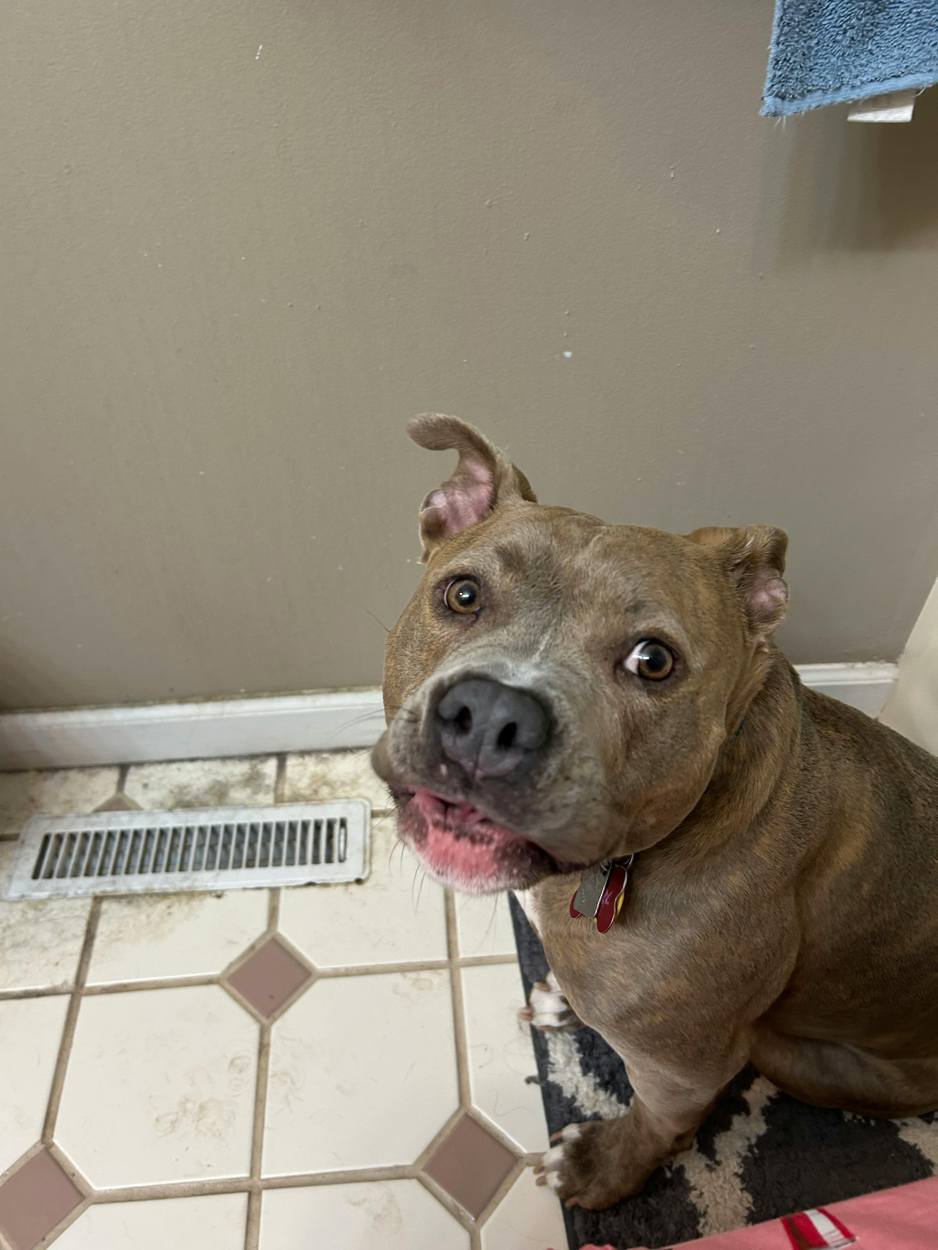 user avatar image for Darren Schrader 