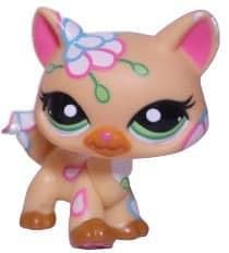 user avatar image for Kayla