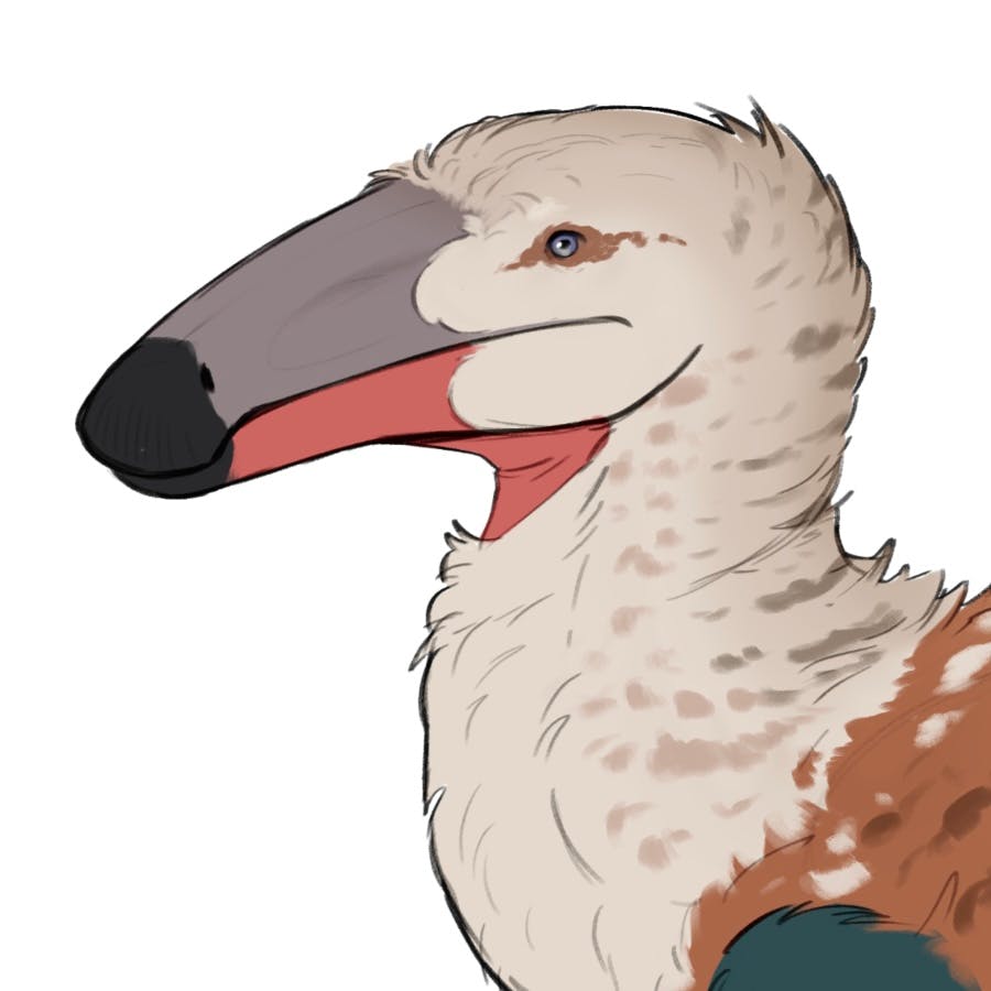 user avatar image for Jordyn