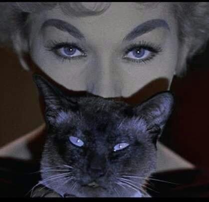 user avatar image for Michele Alogna