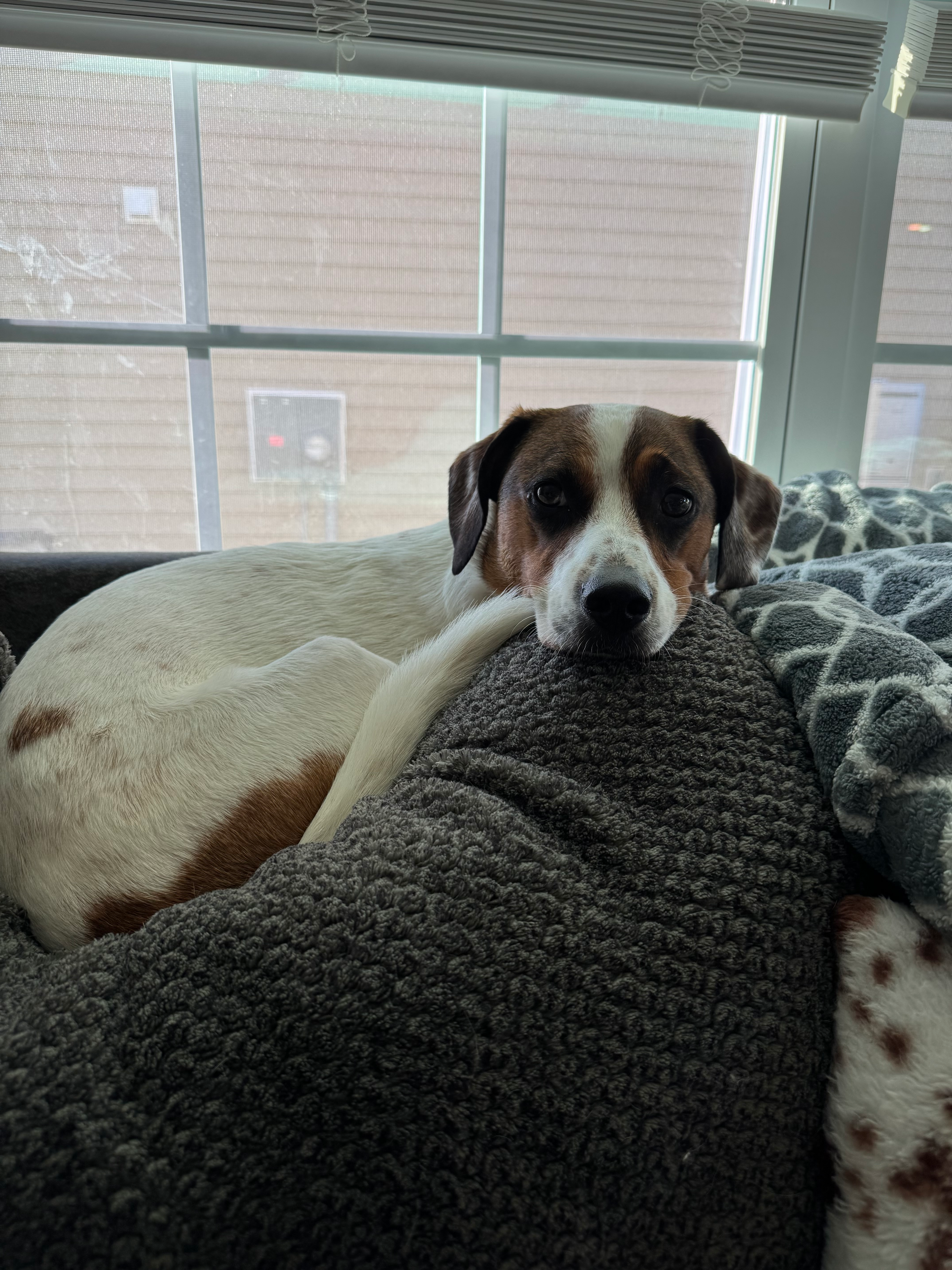 user avatar image for Chris Geiger