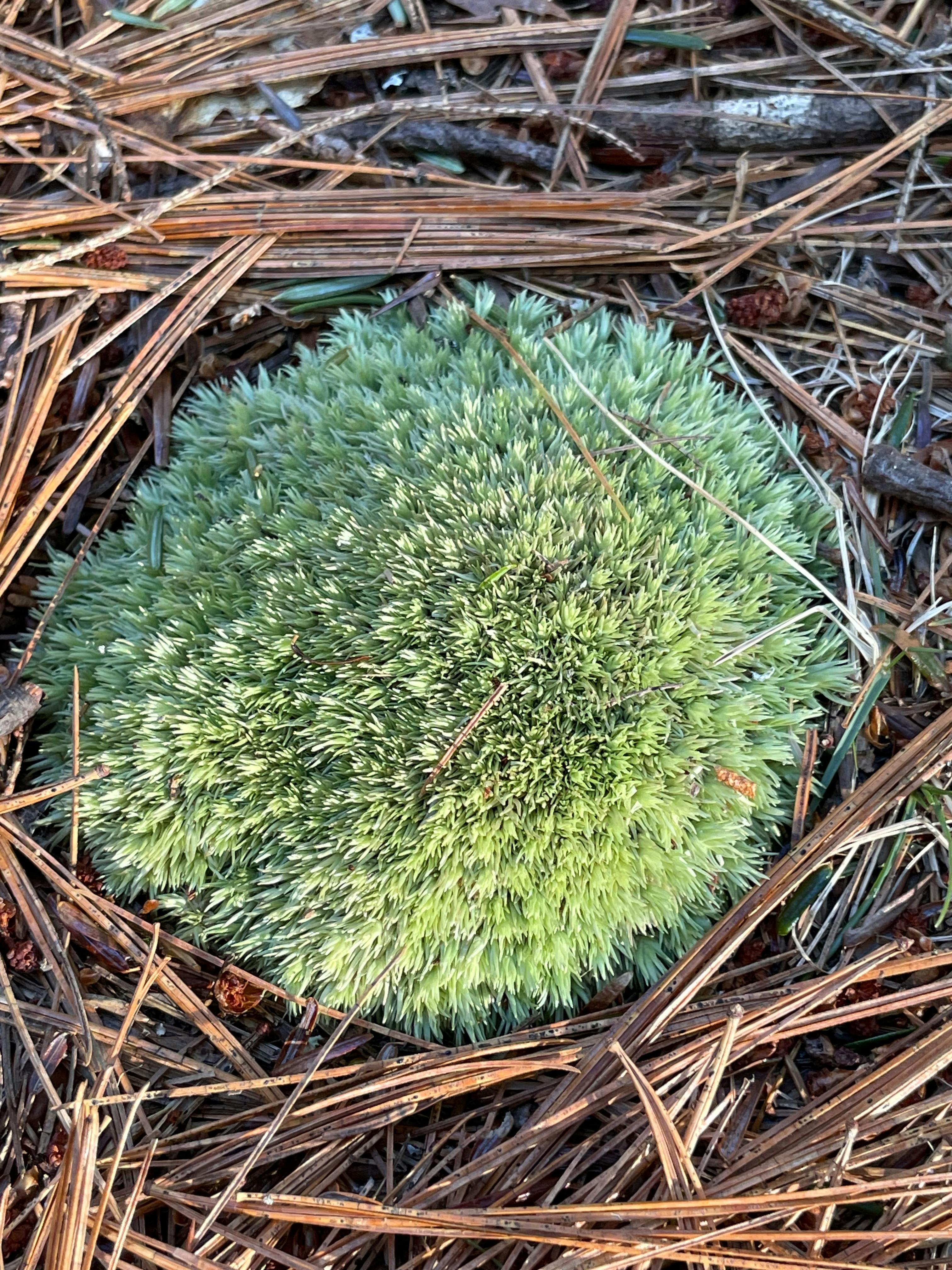 user avatar image for Brandon