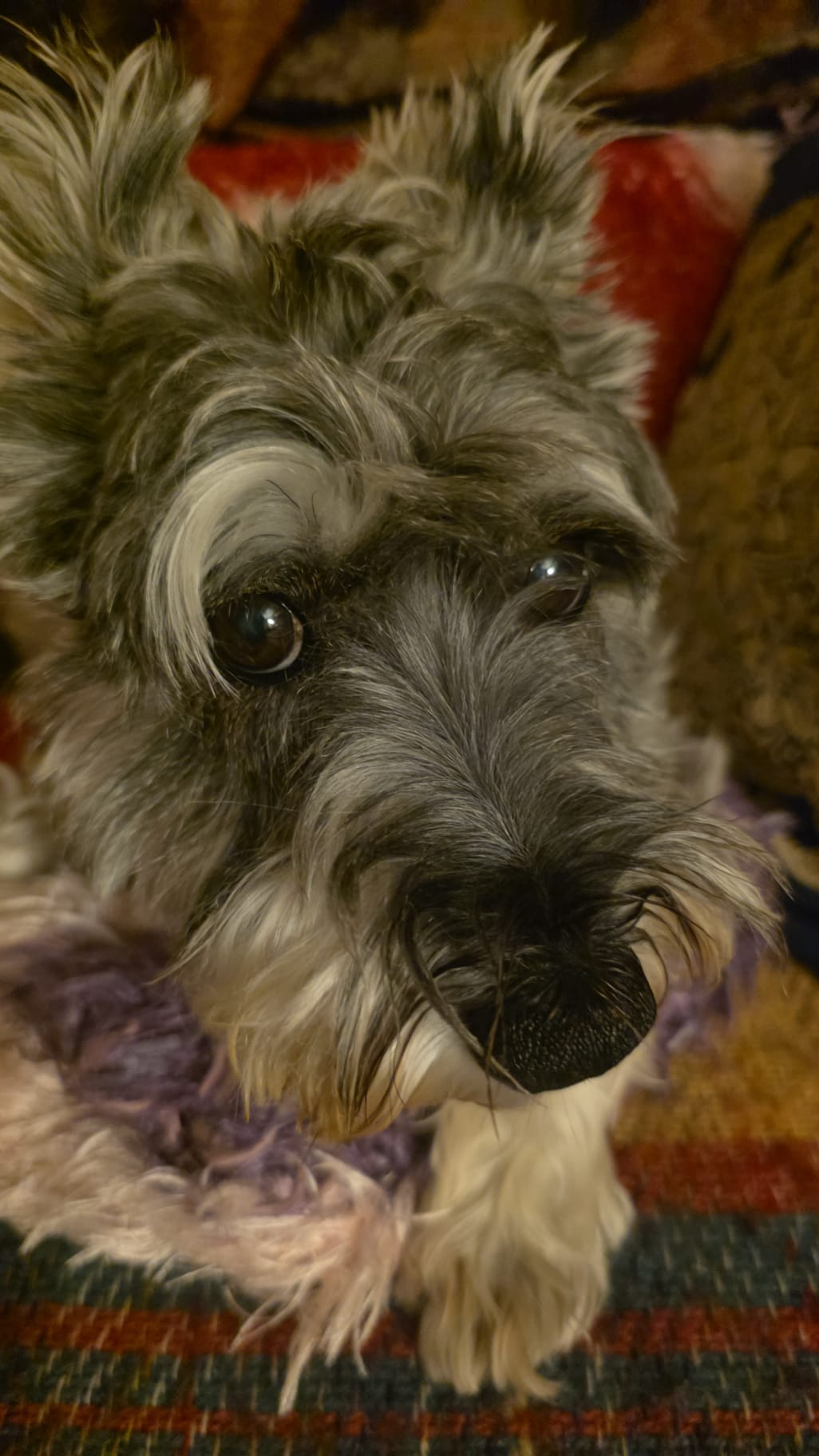 user avatar image for Christopher west