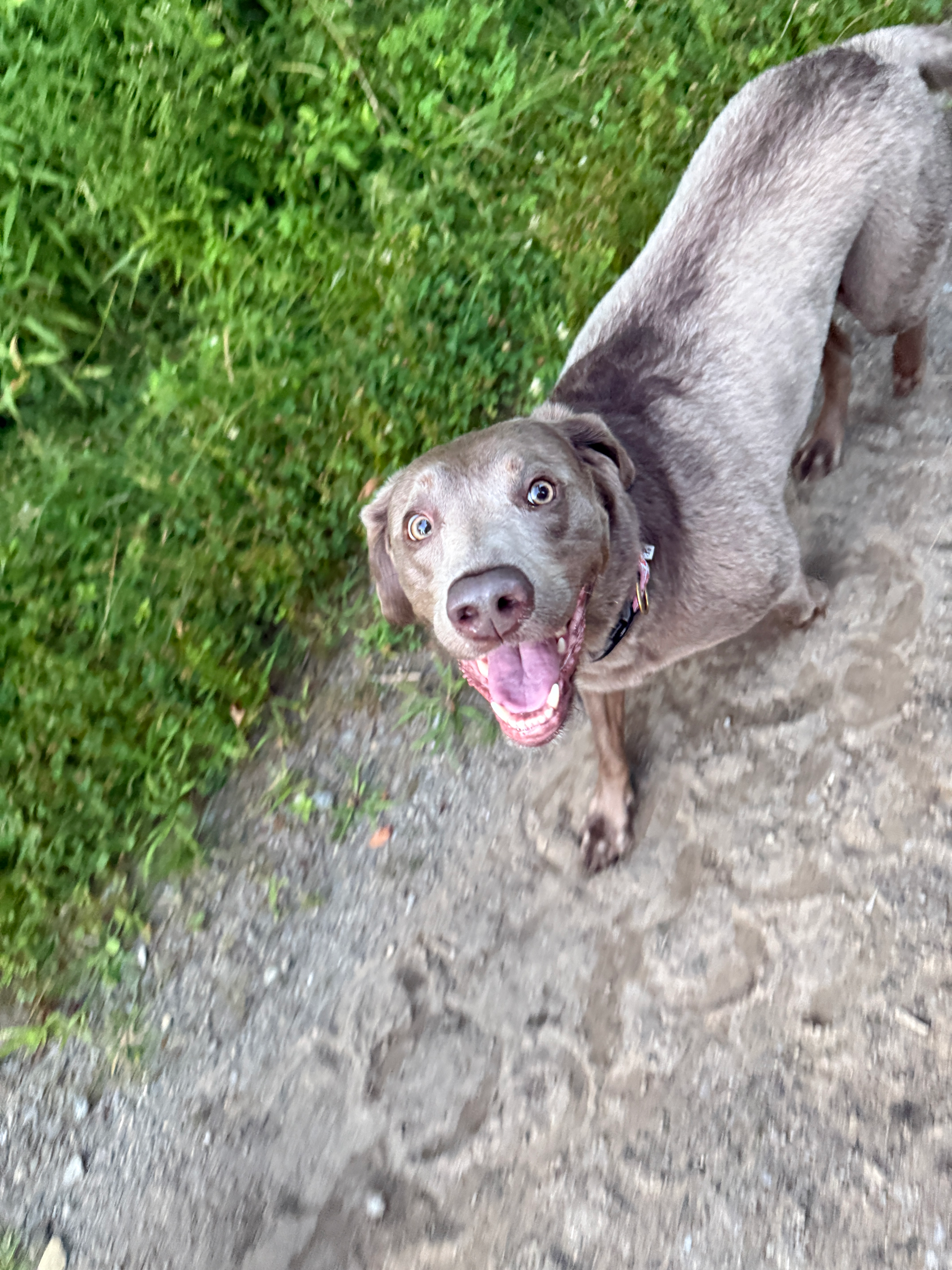 user avatar image for Kay