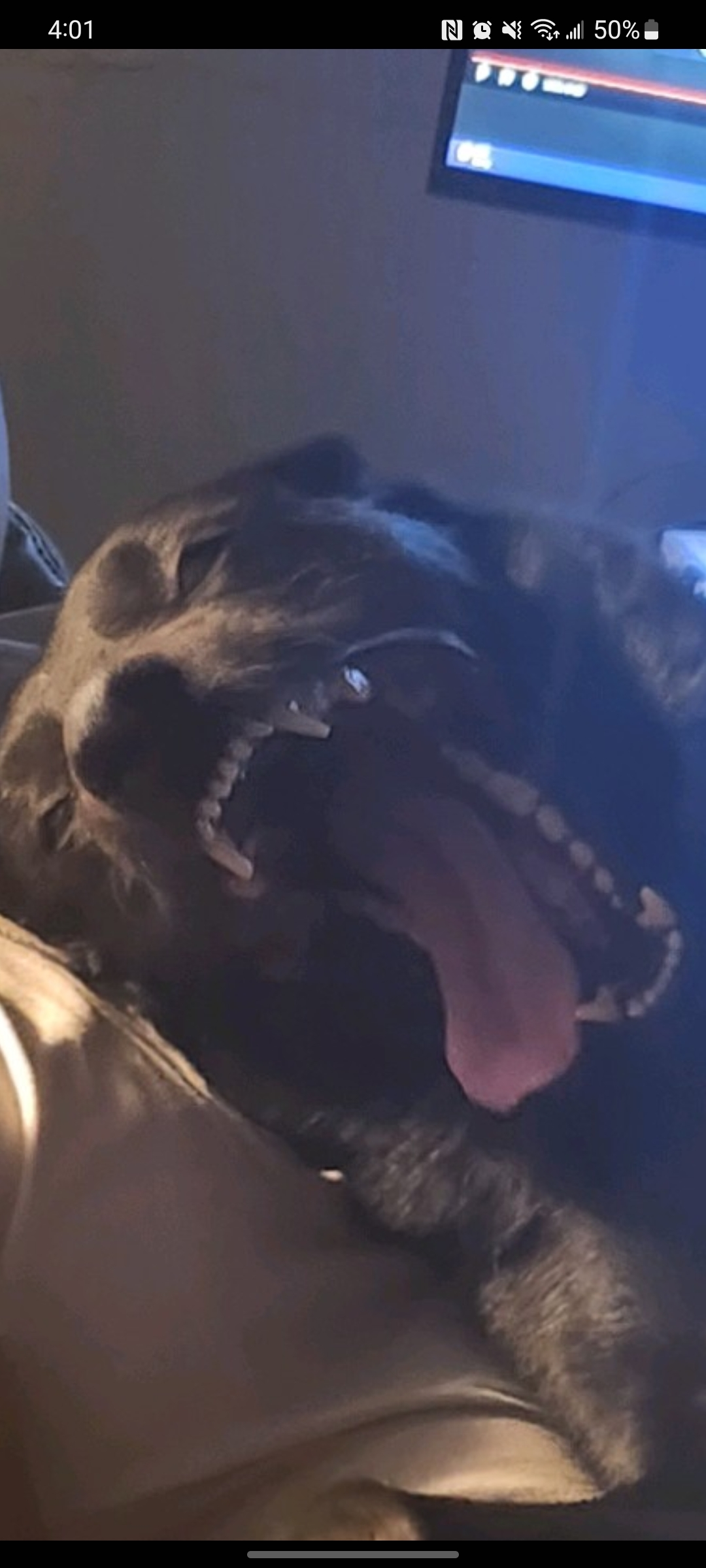 user avatar image for Julio Leal-Flores 