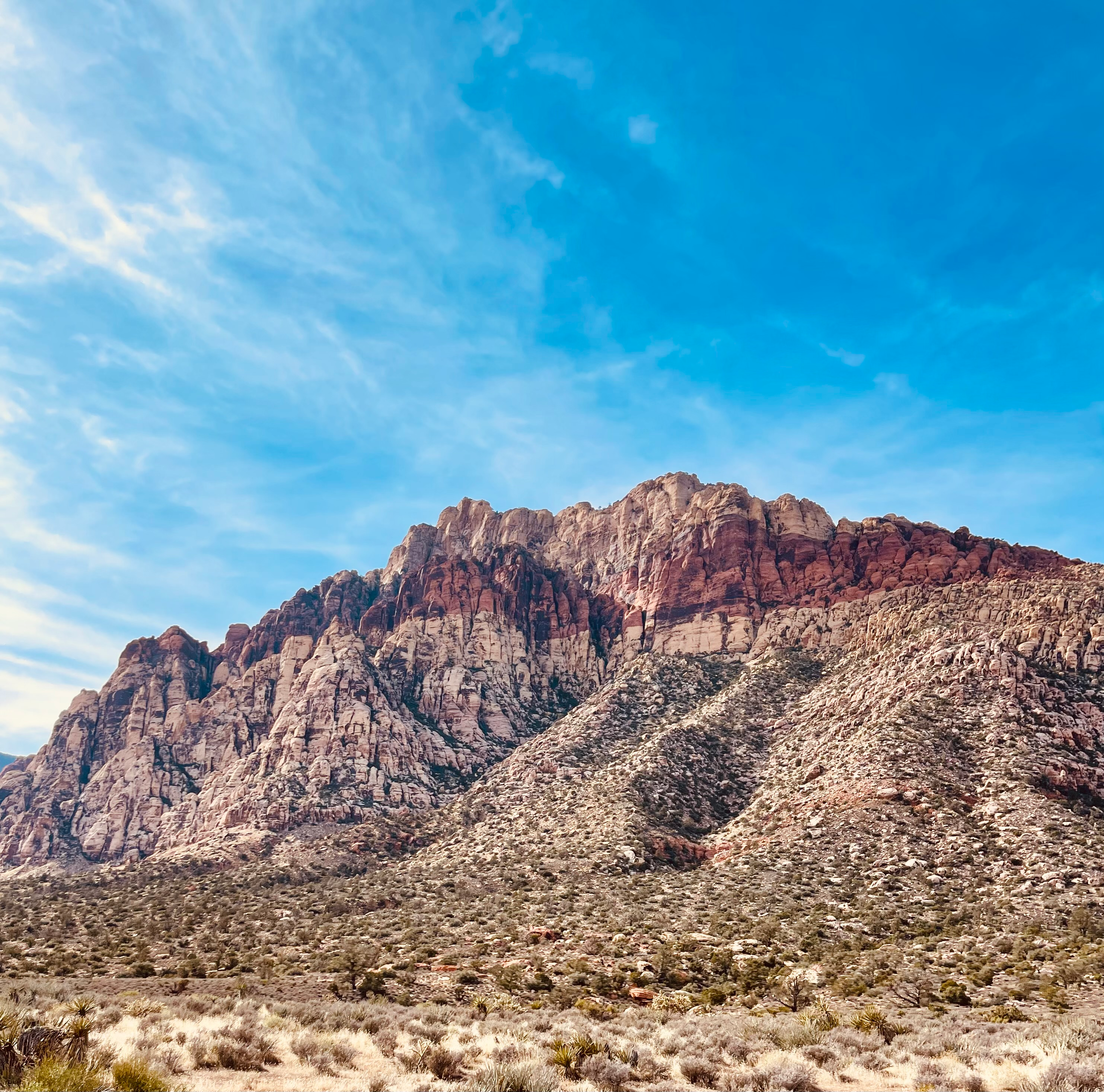 user avatar image for Kristine 