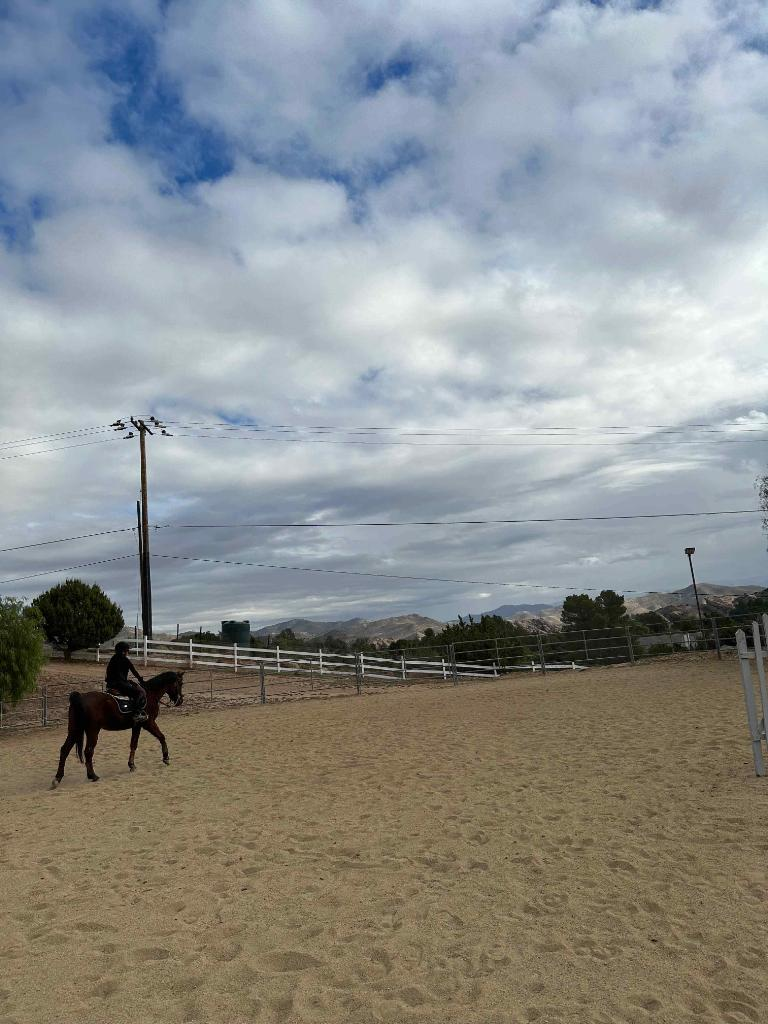 user avatar image for Jes Schmitzberger