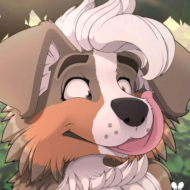 user avatar image for Taigh